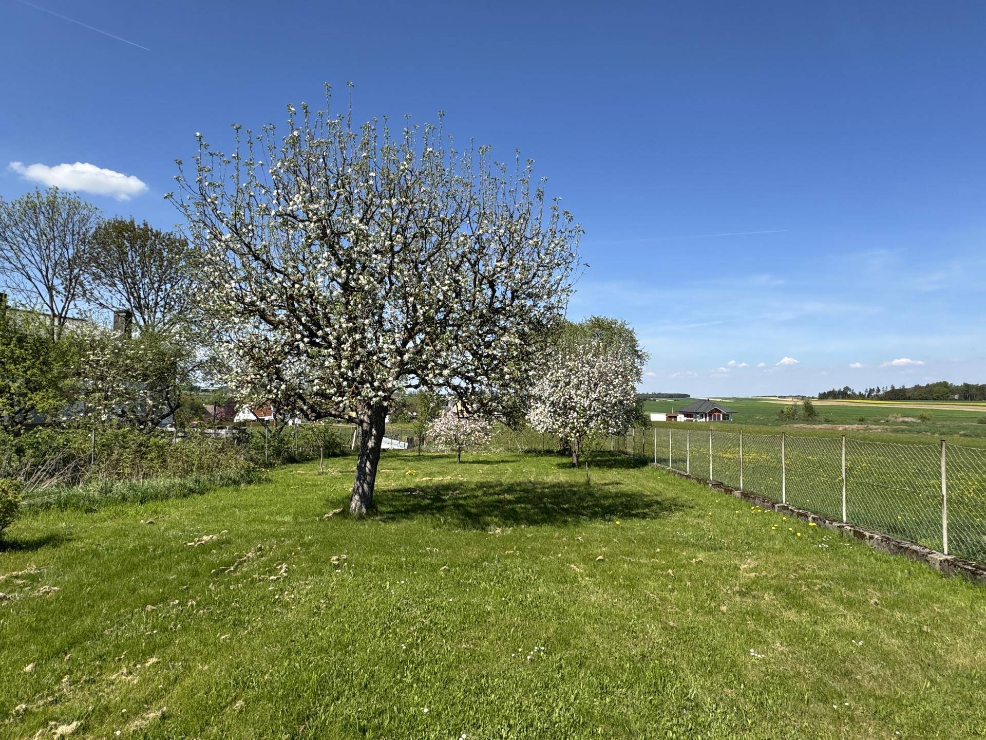 Hintausgarten Ansicht 2