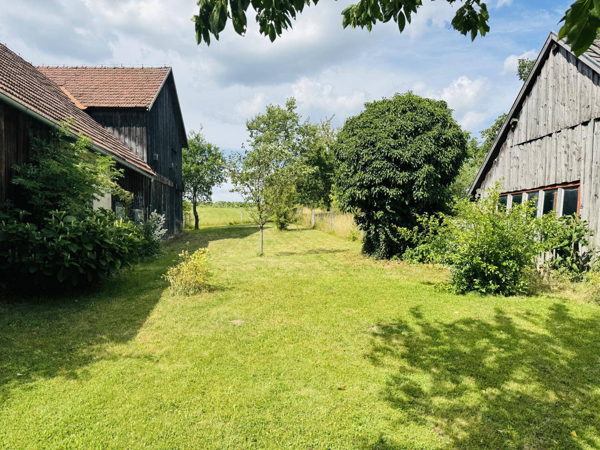 Garten seitlich