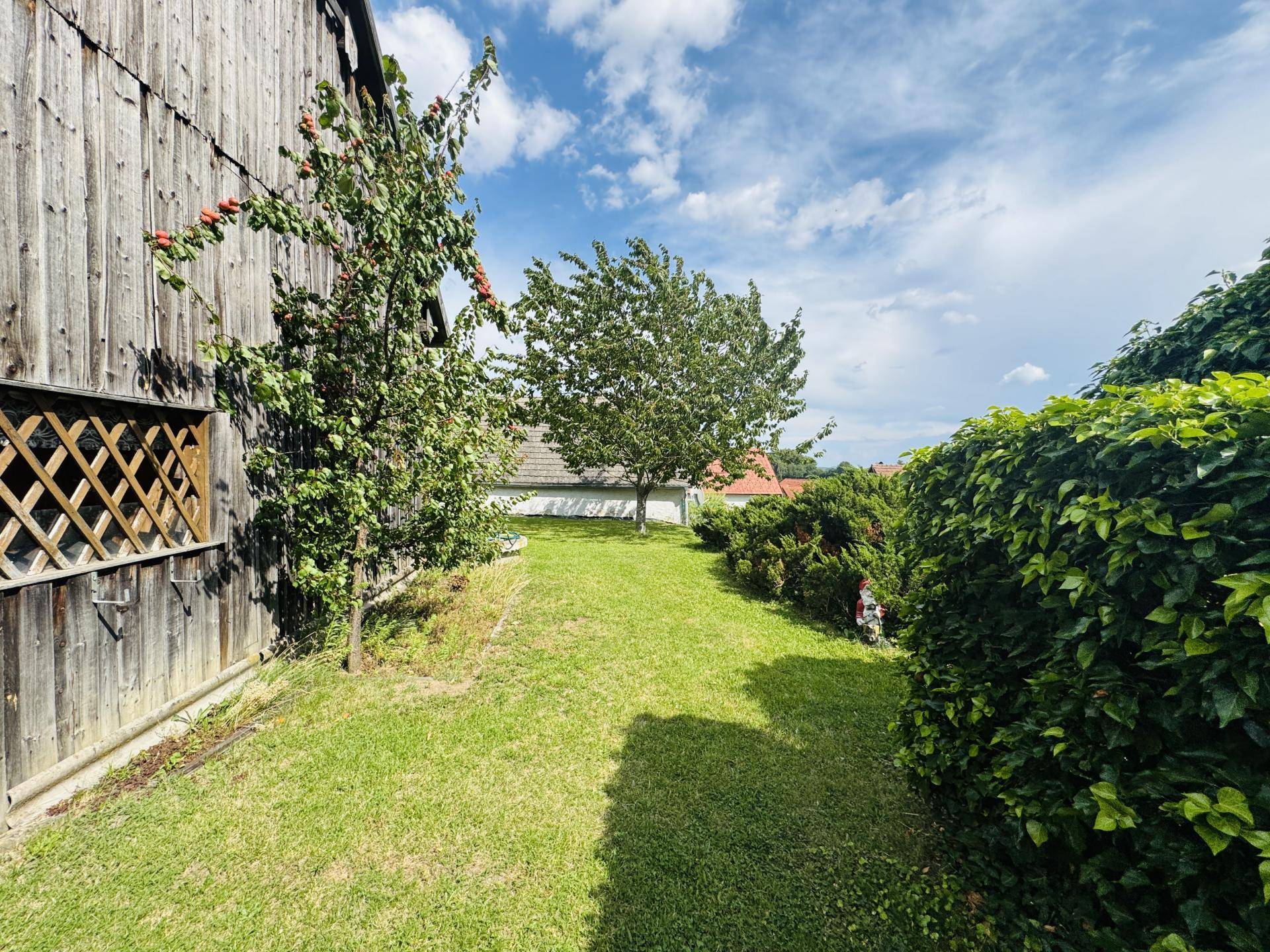 Garten seitlich Ansicht 1