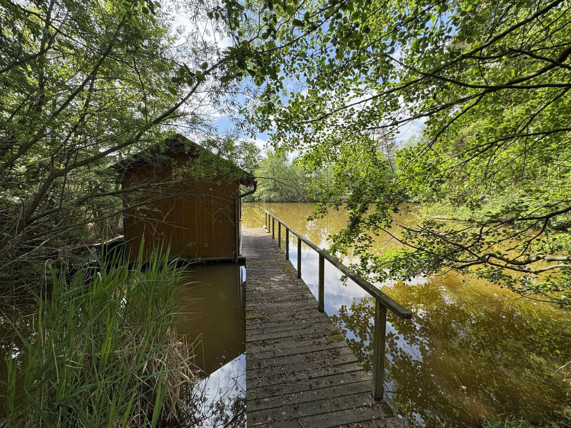Steg zur Hütte