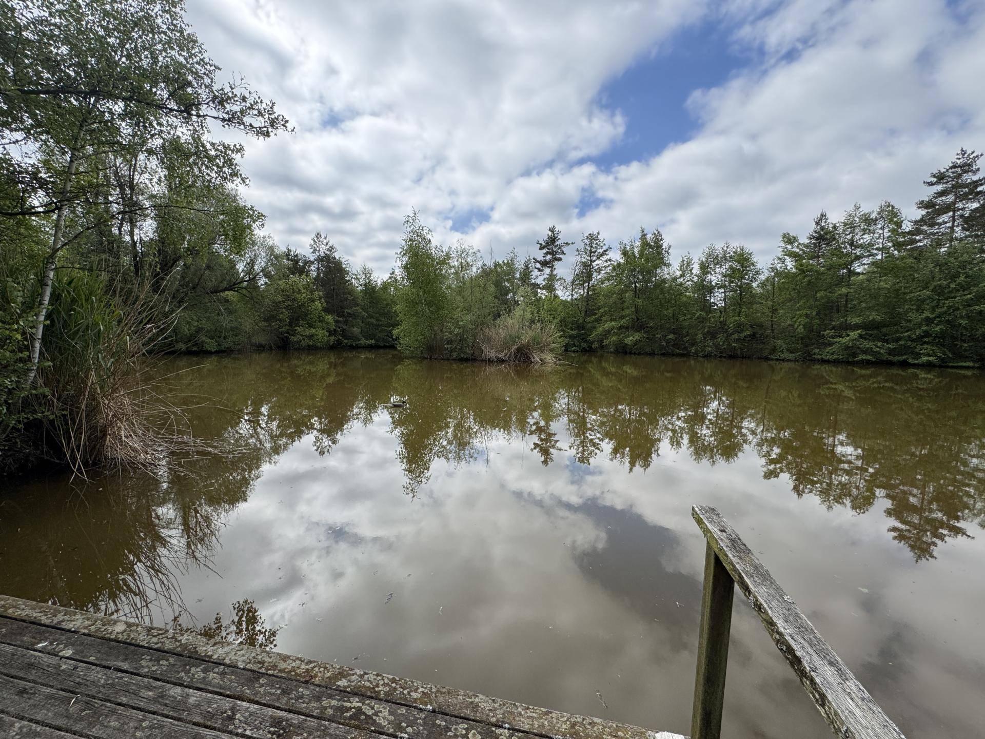 Teich Ansicht 1