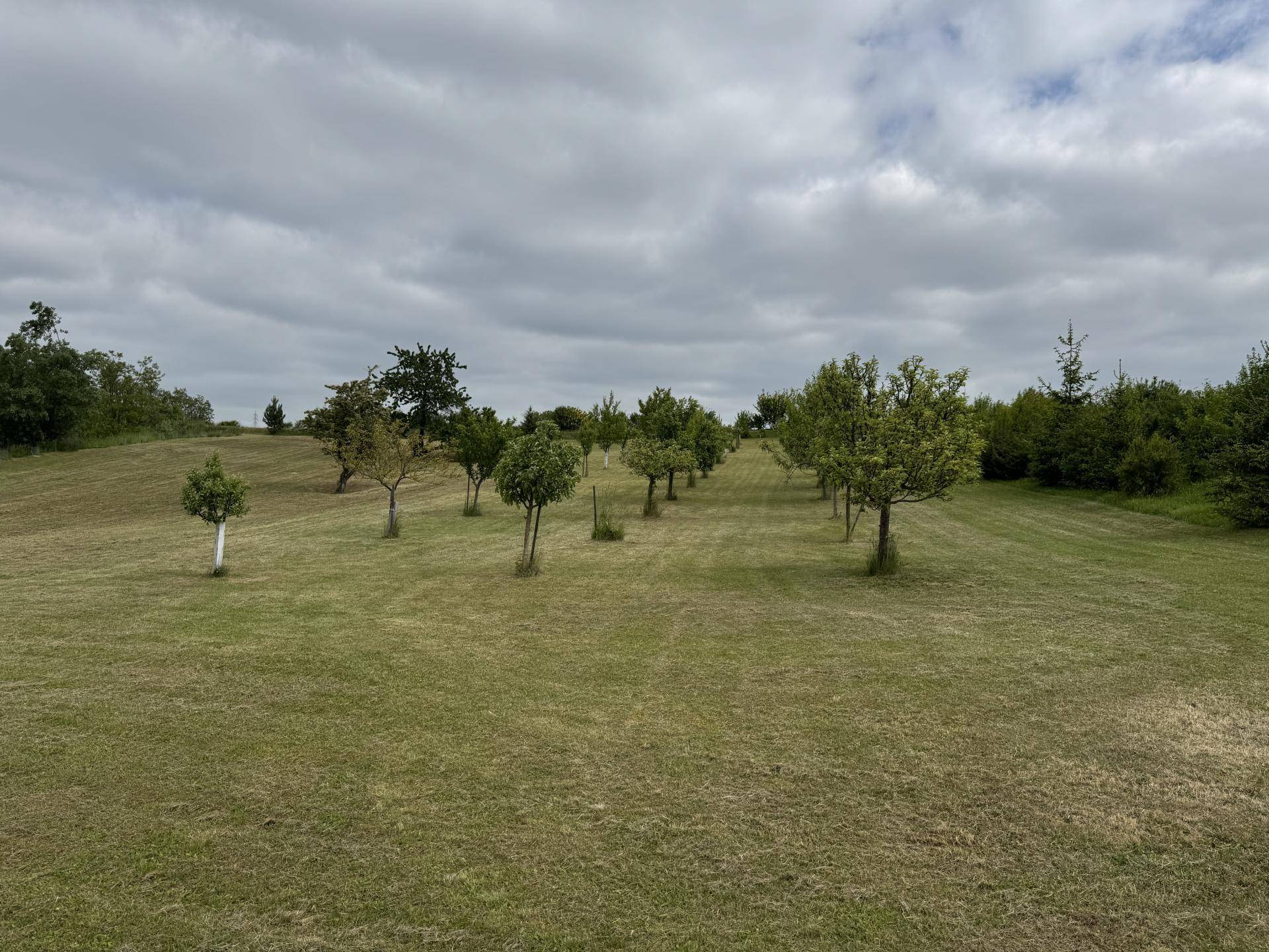 Obstgarten