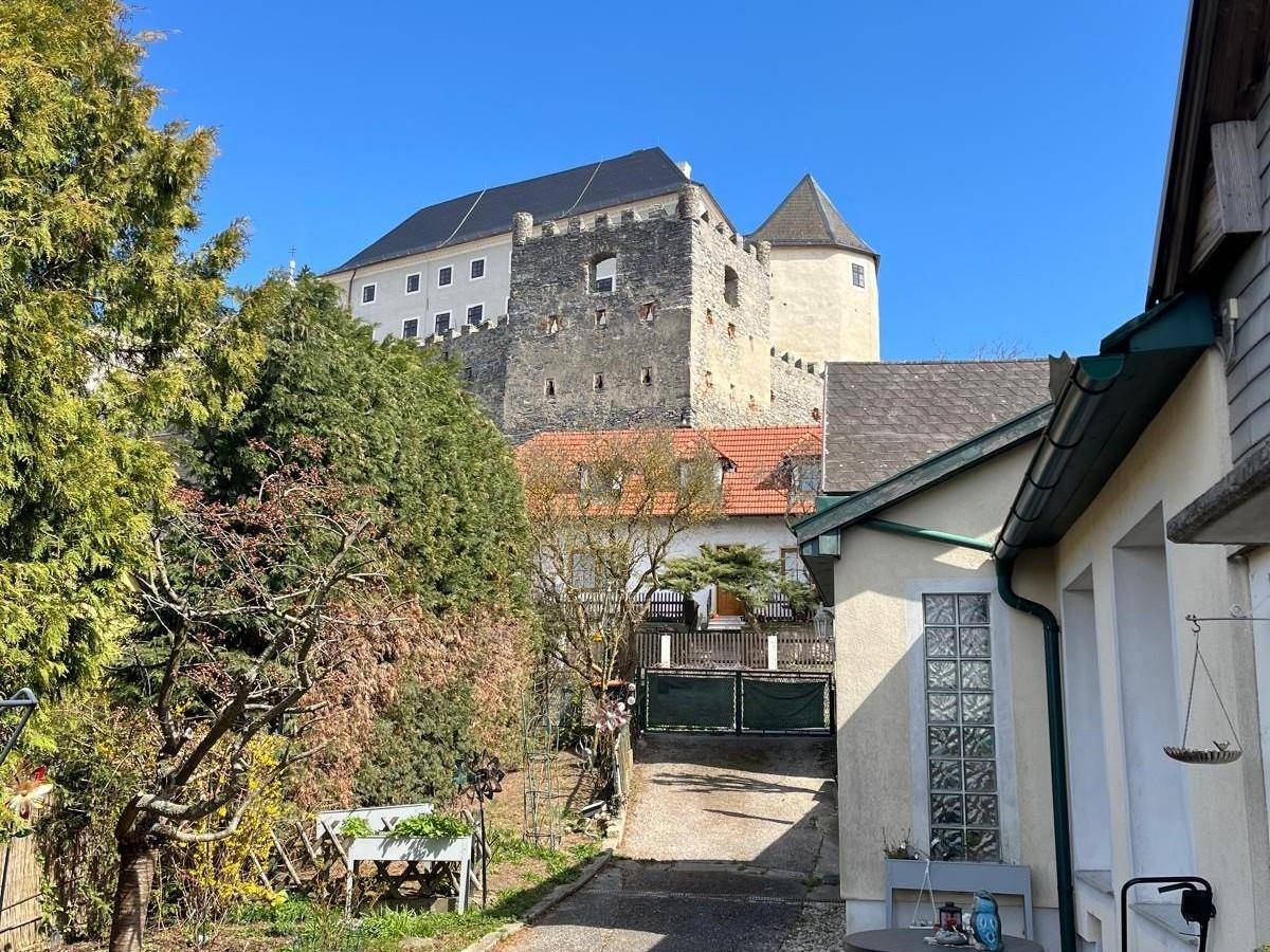 Blick auf eine historische Burg von einem grünen Grundstück aus, umgeben von Bäumen.