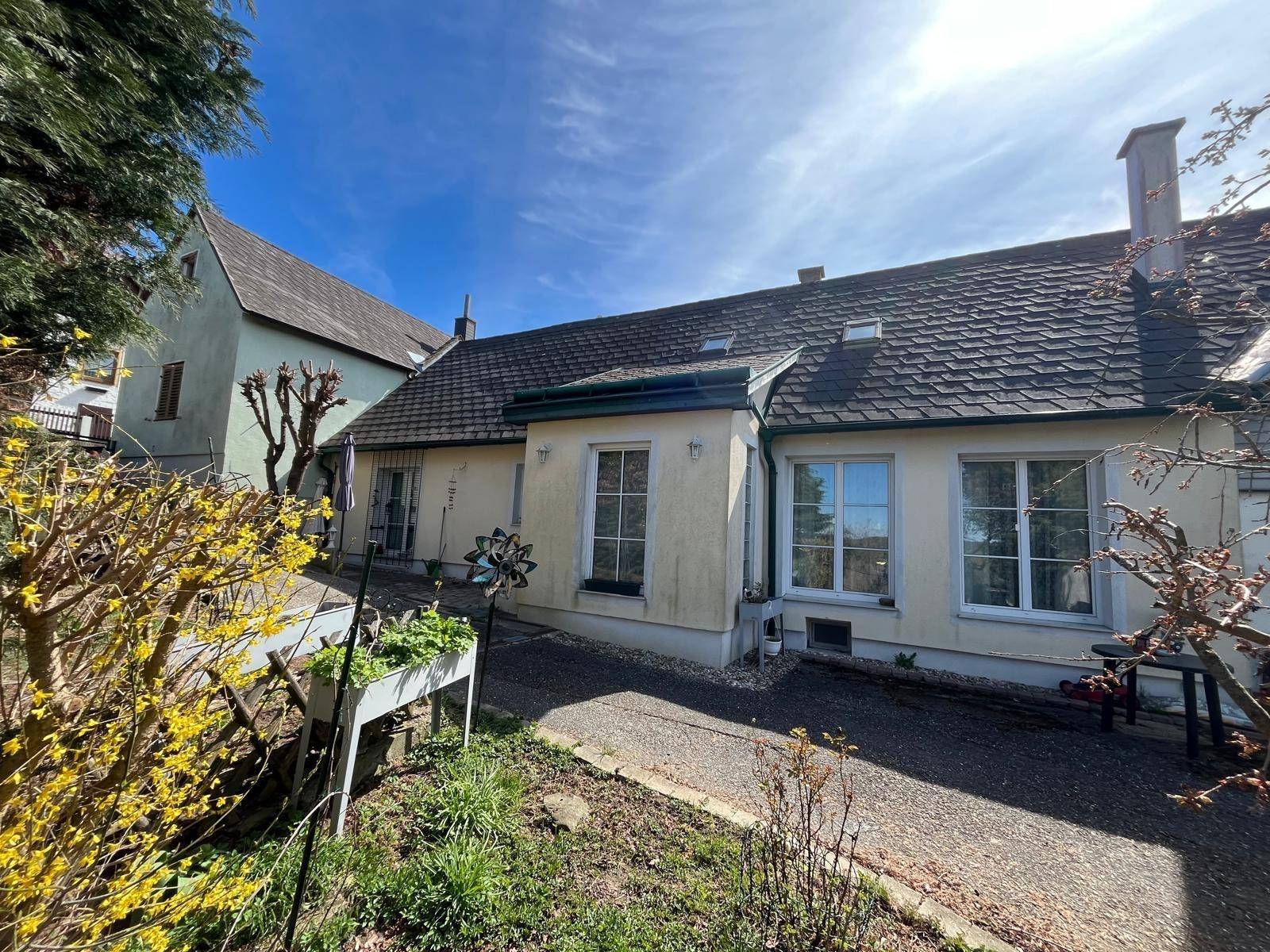 Seitenansicht des Hauses mit großen Fenstern und einem sonnigen Gartenbereich mit blühenden Sträuchern.