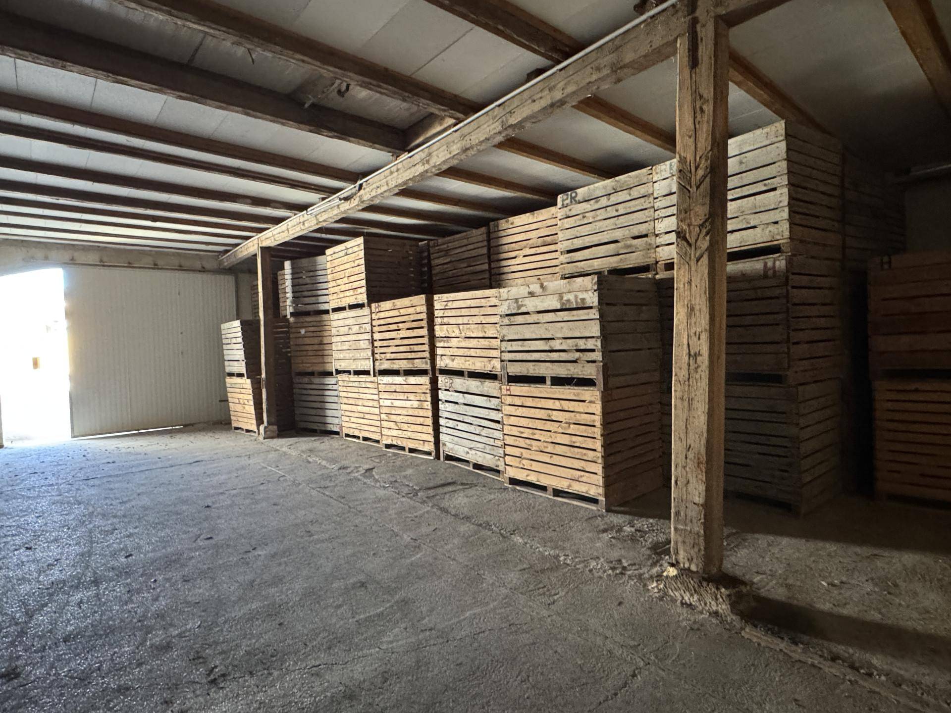Großer Lagerraum mit Holzkisten und sichtbaren Deckenbalken.