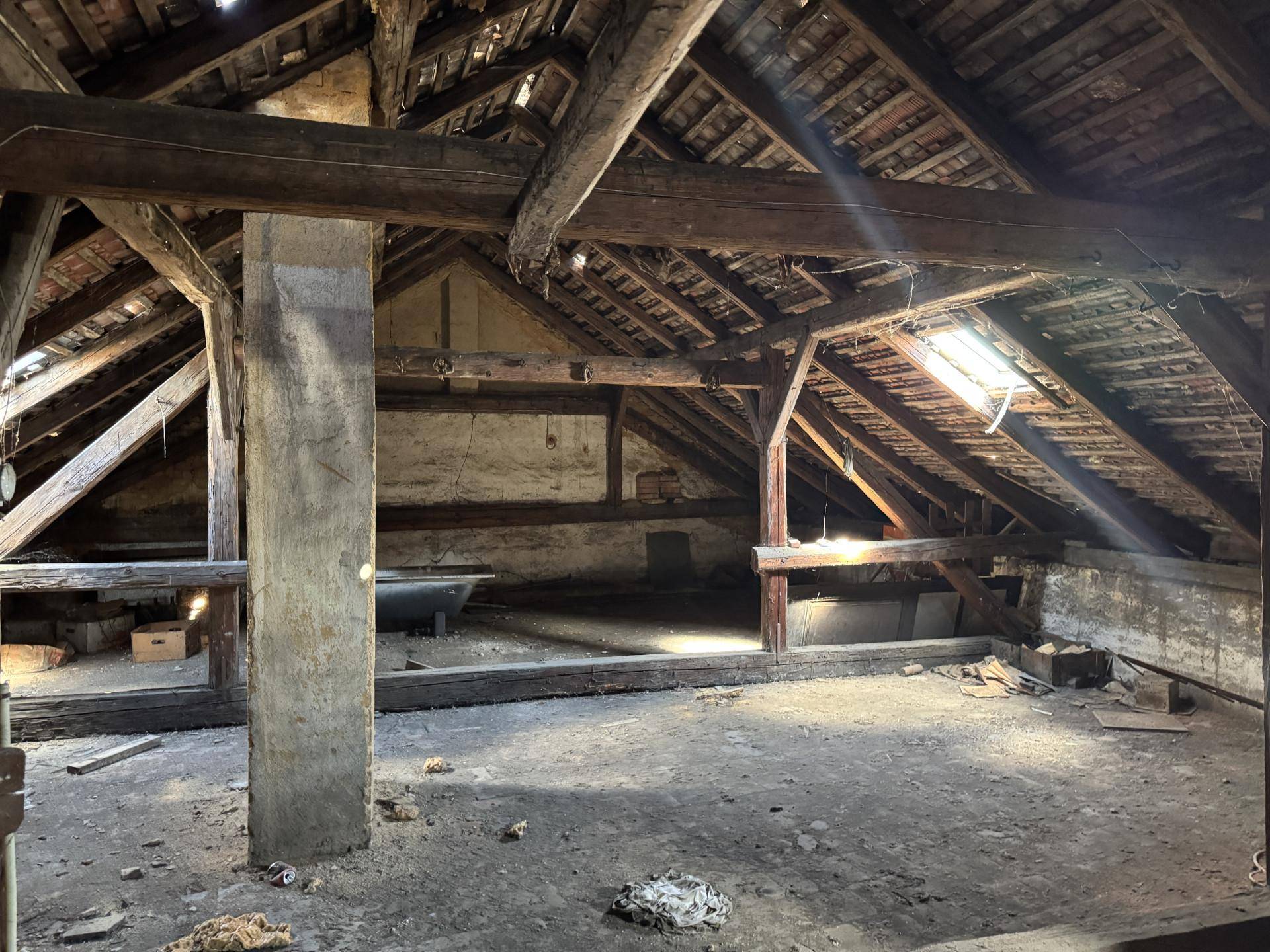 Geräumiger Dachboden mit sichtbaren Holzbalken und natürlichem Lichteinfall durch Dachfenster.