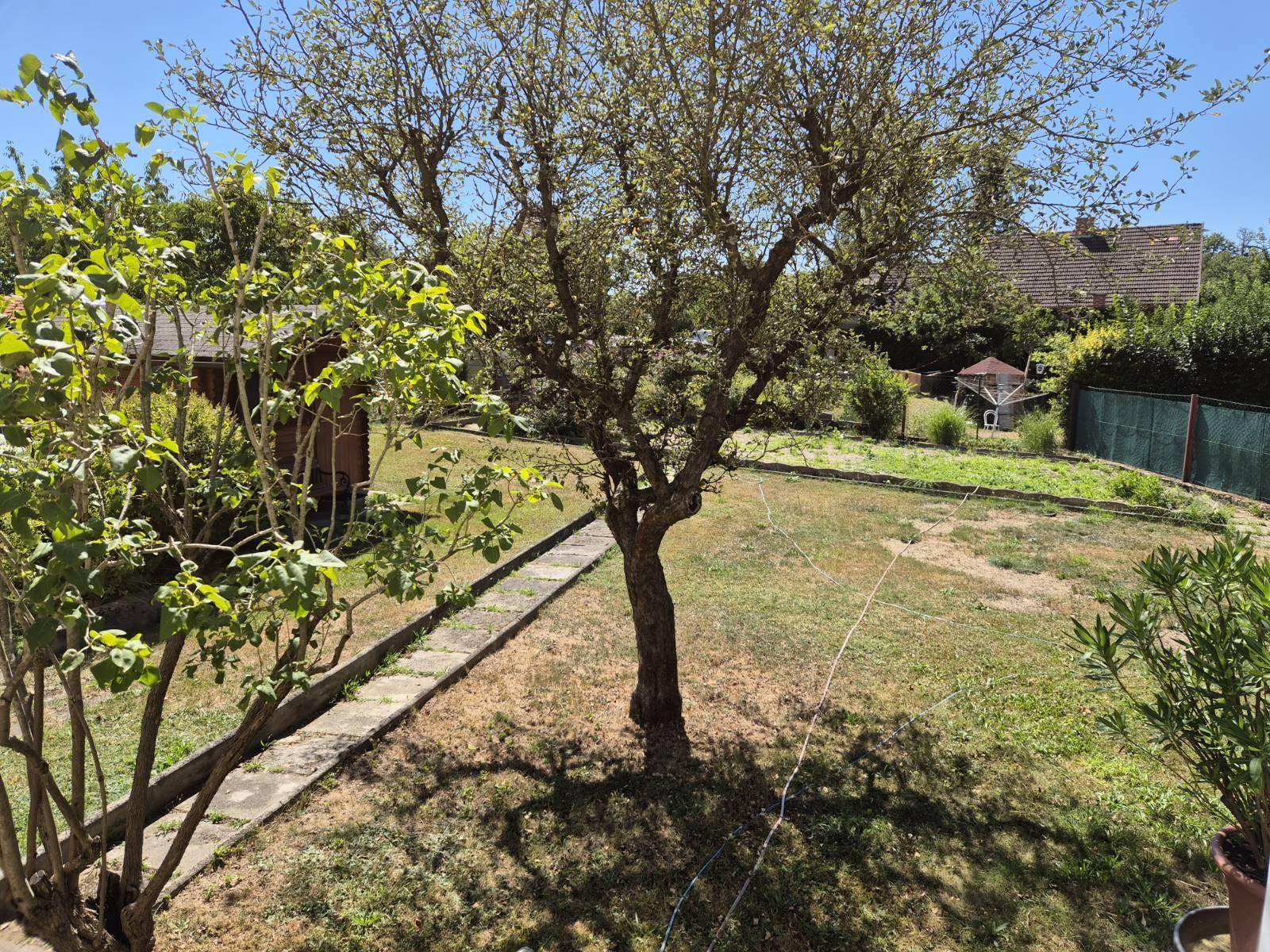Garten Ansicht 1