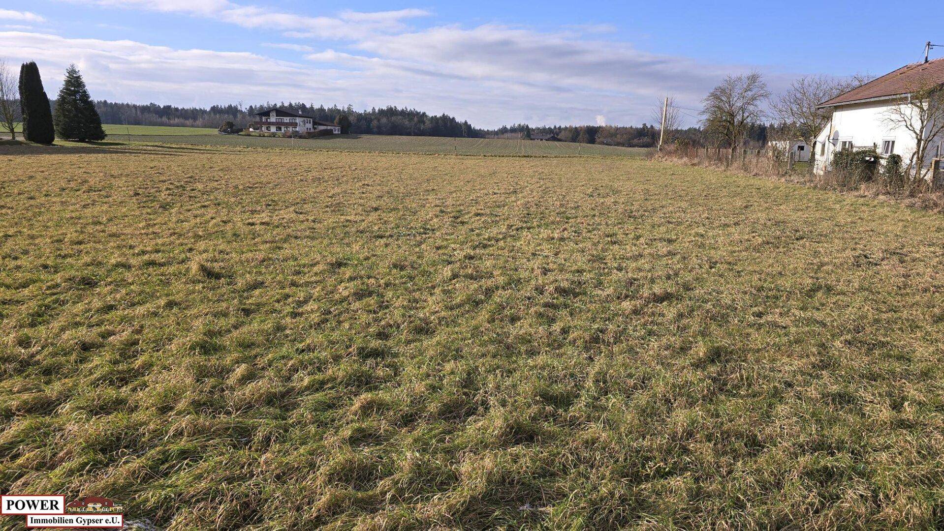 Sonniges Feld mit Blick auf die grüne Natur und vereinzelte Häuser in der Ferne unter blauem Himmel.