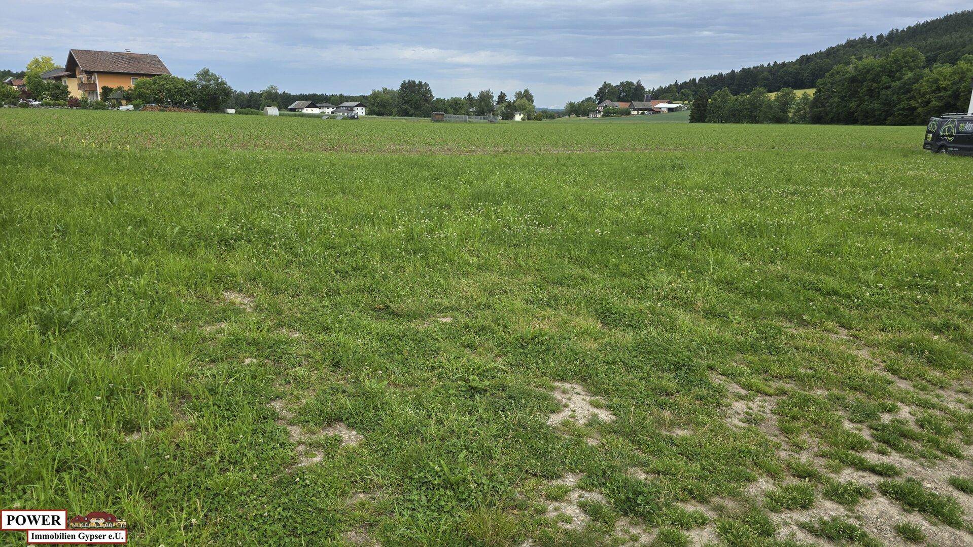 Weite grüne Wiese mit ländlicher Bebauung und bewaldeten Hügeln im Hintergrund unter bewölktem Himmel.
