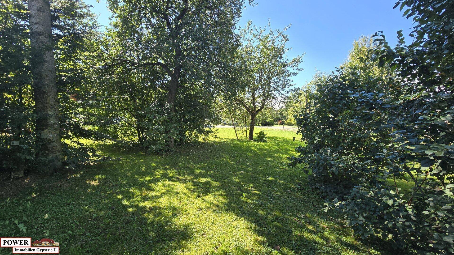 Sonniger Gartenbereich mit altem Baumbestand und einer weitläufigen Rasenfläche.