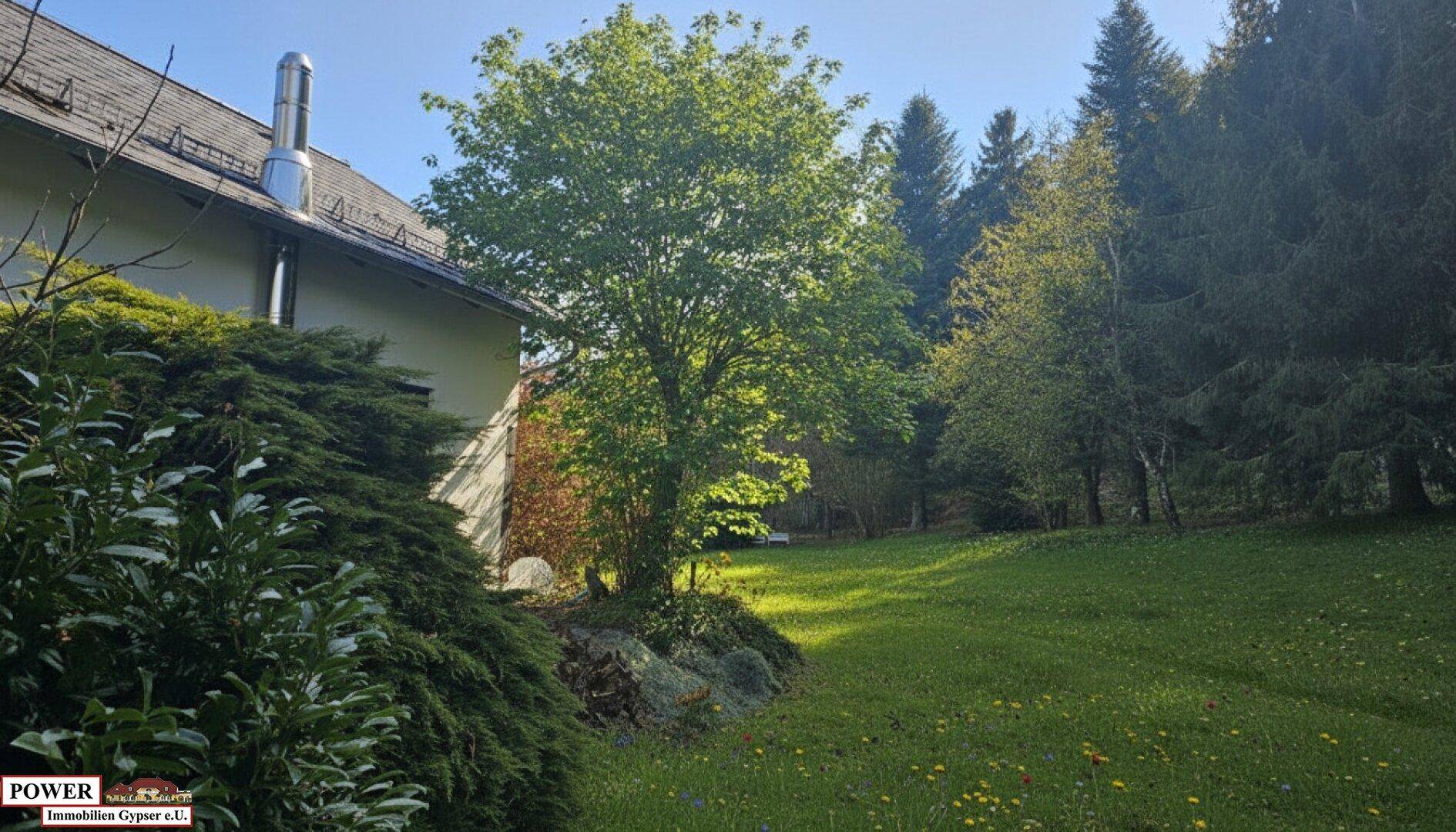 Wohnhaus in Ruhelage Ihr neues Zuhause ! - Ansicht 4