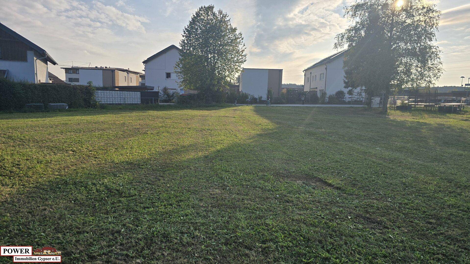 Sonnige Grünfläche mit Blick auf die umliegende Wohnbebauung und Bäume am Horizont.