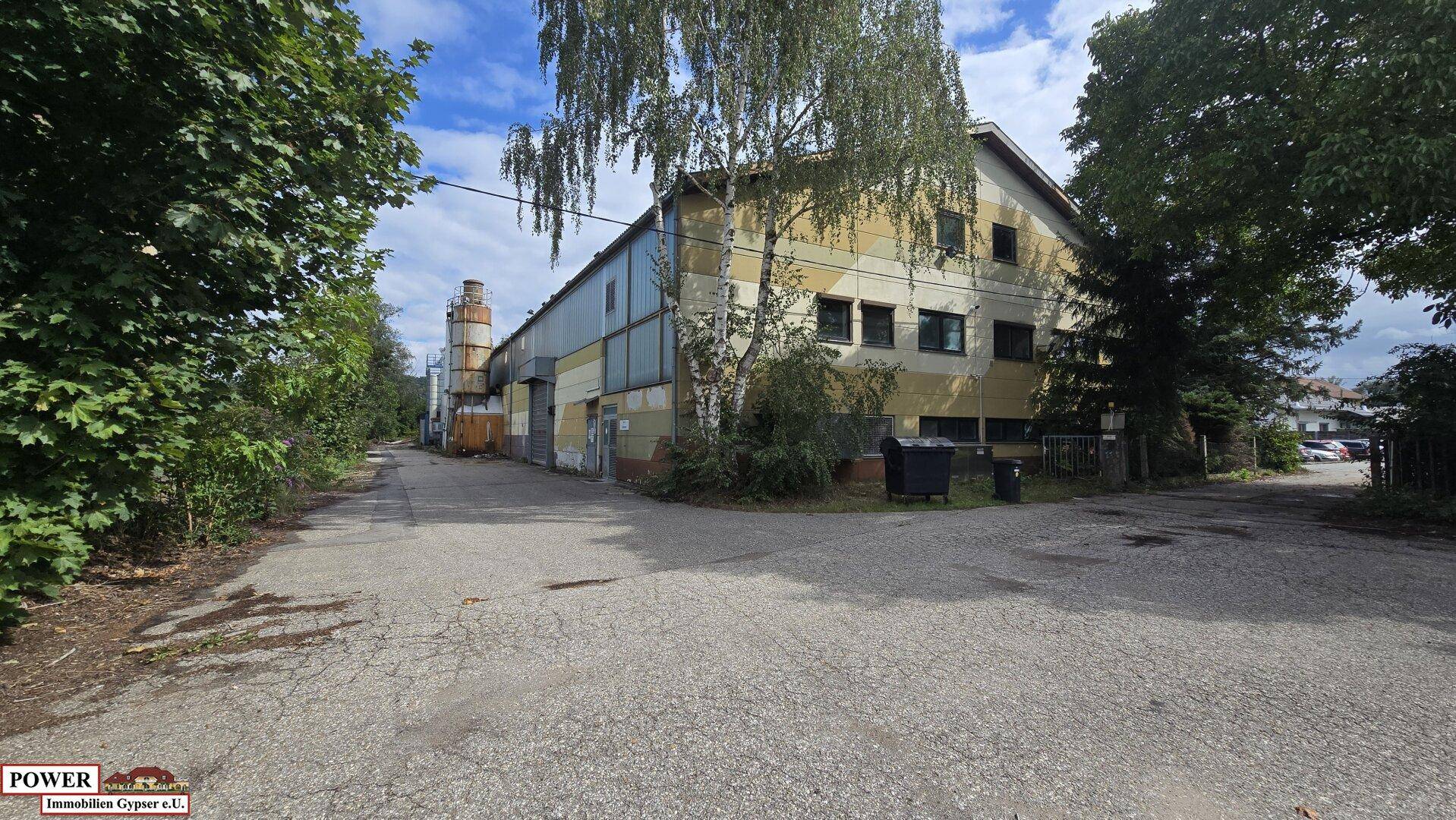 Seitenansicht eines großen Industriegebäudes mit hohen Bäumen und einem asphaltierten Weg unter blauem Himmel.