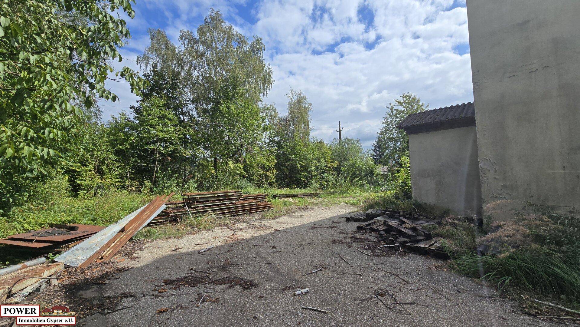 Außenbereich mit viel Grün, Bäumen und einigen gelagerten Materialien auf einem unbefestigten Untergrund.