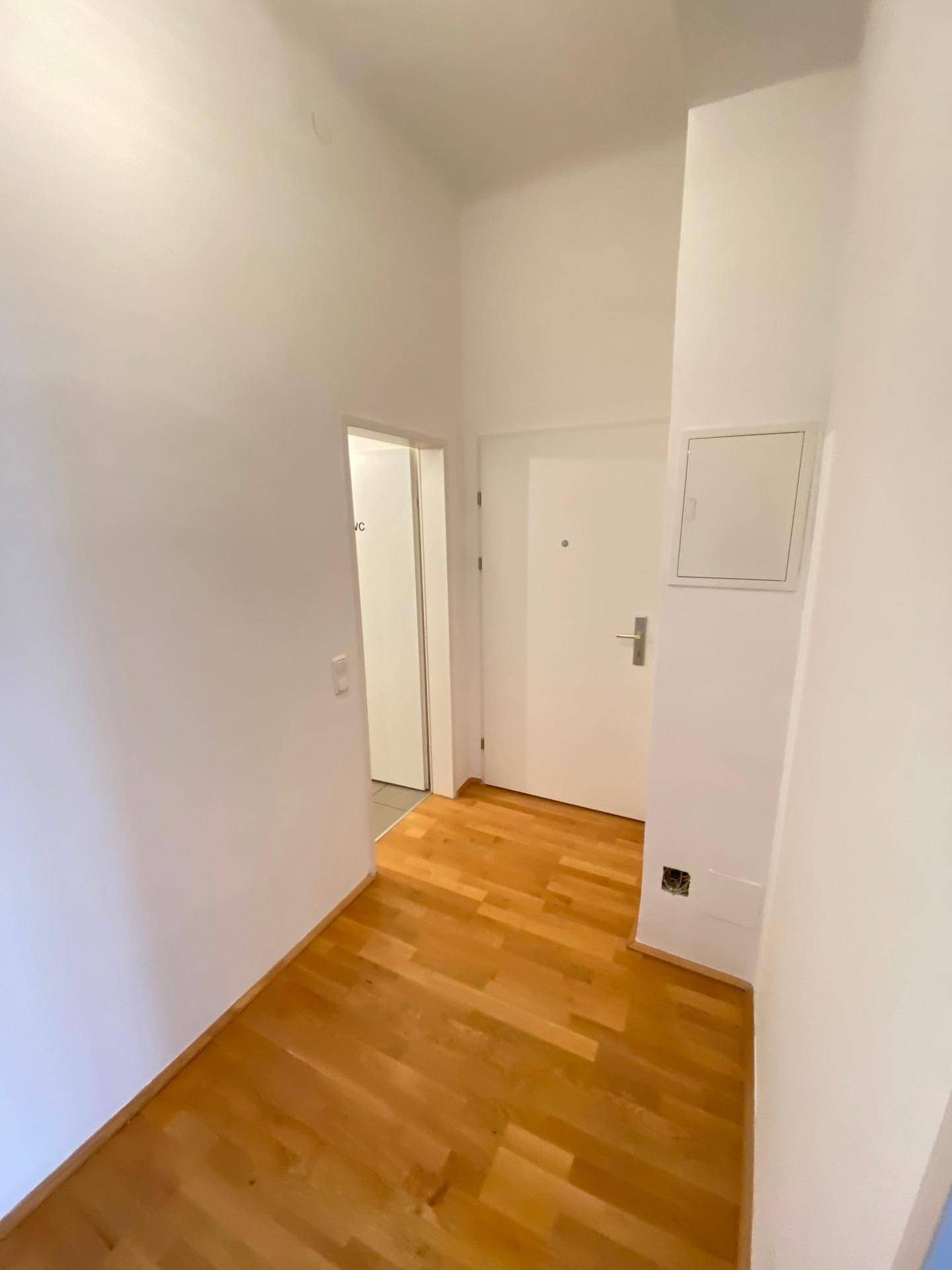 Eingangsbereich mit Holzboden und weiß gestrichenen Wänden, der zu den weiteren Räumen der Wohnung führt.