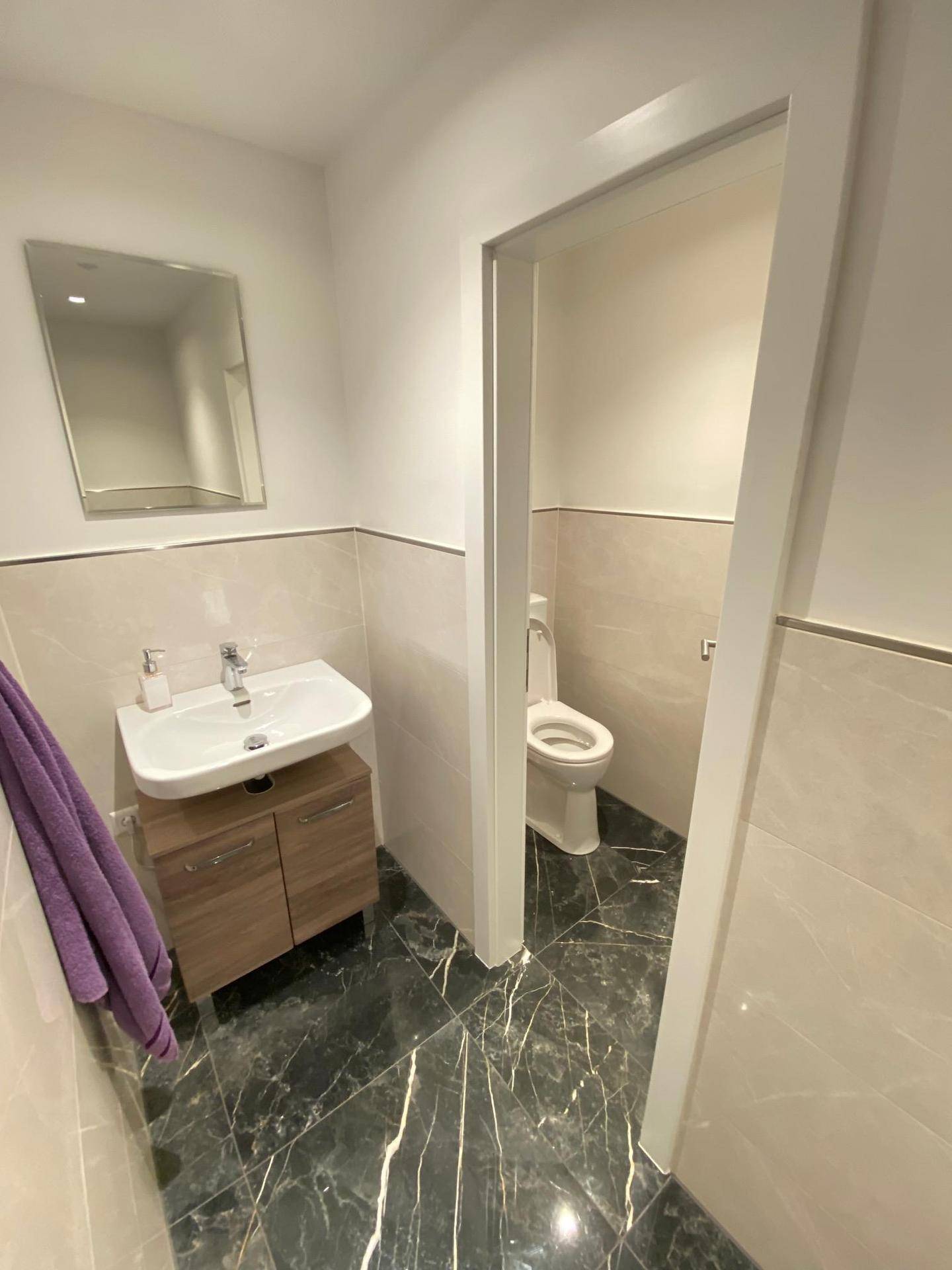 Modernes Badezimmer mit Waschbecken, Spiegel und separatem WC-Bereich, ausgestattet mit dunklen Fliesen.