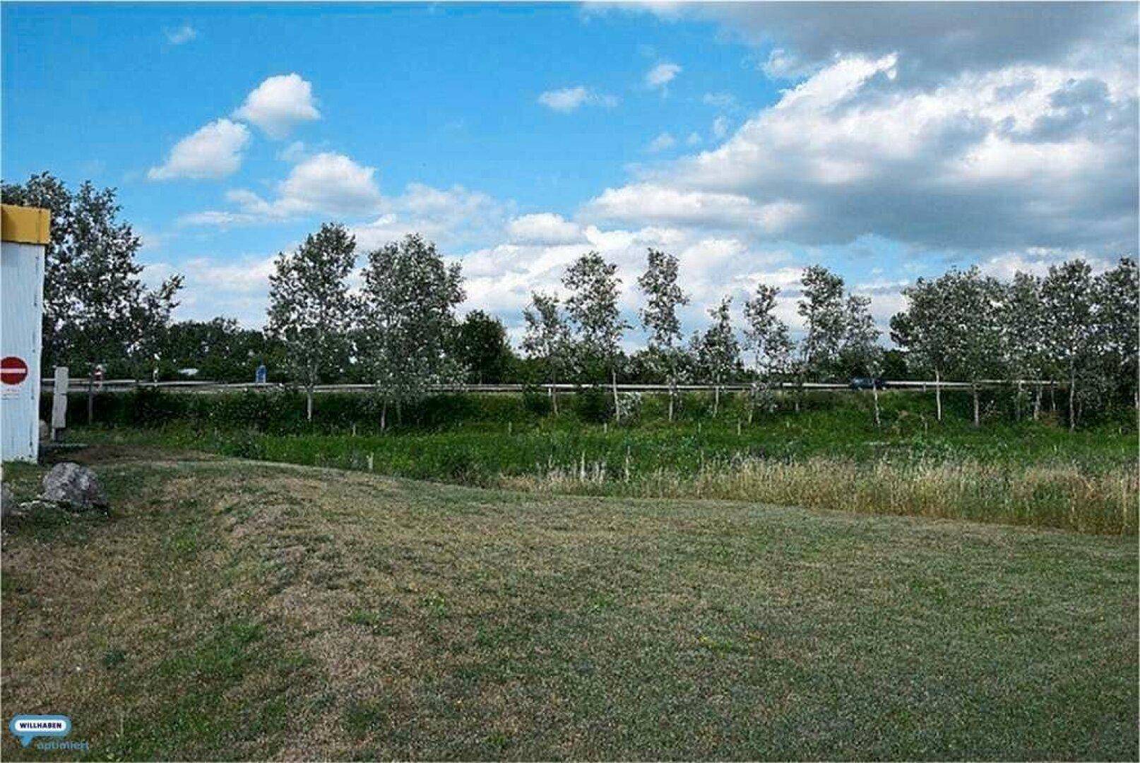 Weitläufige Grünfläche mit Bäumen und einer Straße im Hintergrund unter einem blauen Himmel mit Wolken.