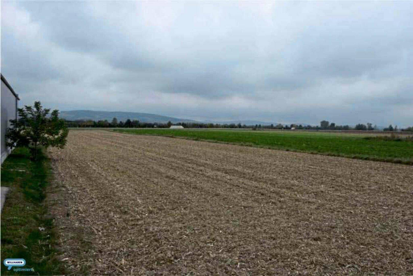 Weitläufiges Ackerland unter einem bewölkten Himmel mit einer Bergkette am Horizont.