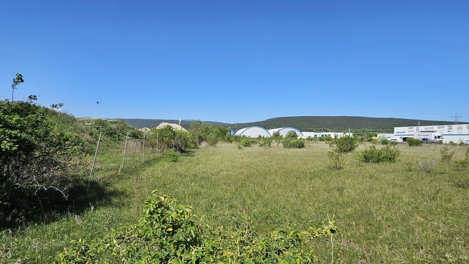 Offenes Feld mit hohem Gras und Büschen, im Hintergrund sind Gewerbegebäude und bewaldete Hügel sichtbar.