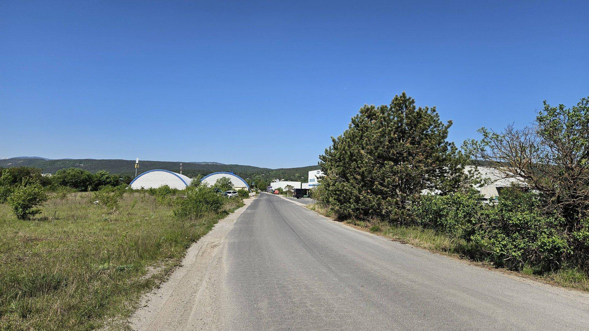 Landstraße führt durch grüne Landschaft mit Bäumen und Blick auf entfernte Gebäude und Hügel.