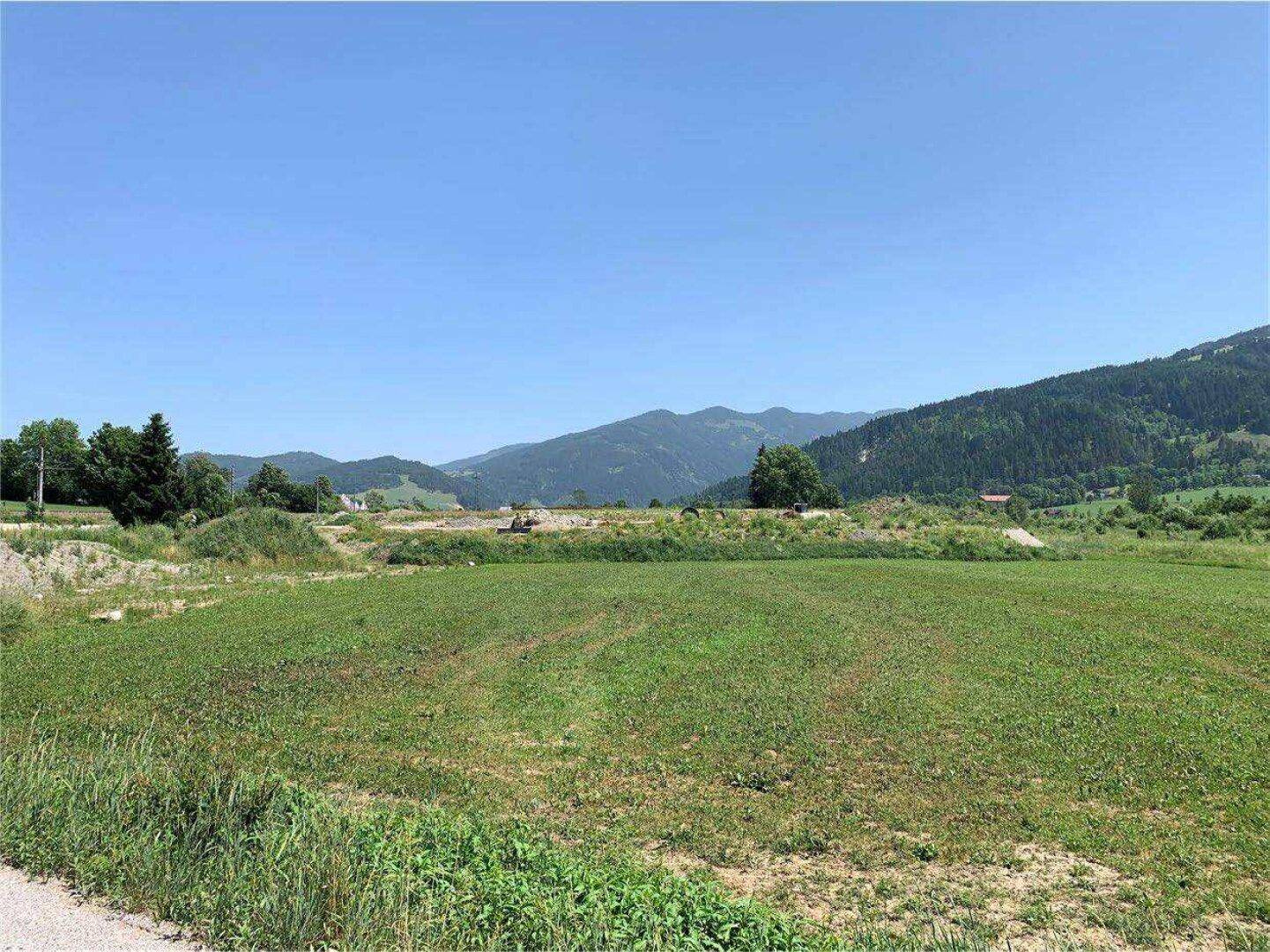 Weitläufiges grünes Feld unter klarem blauem Himmel mit bewaldeten Bergen im Hintergrund.