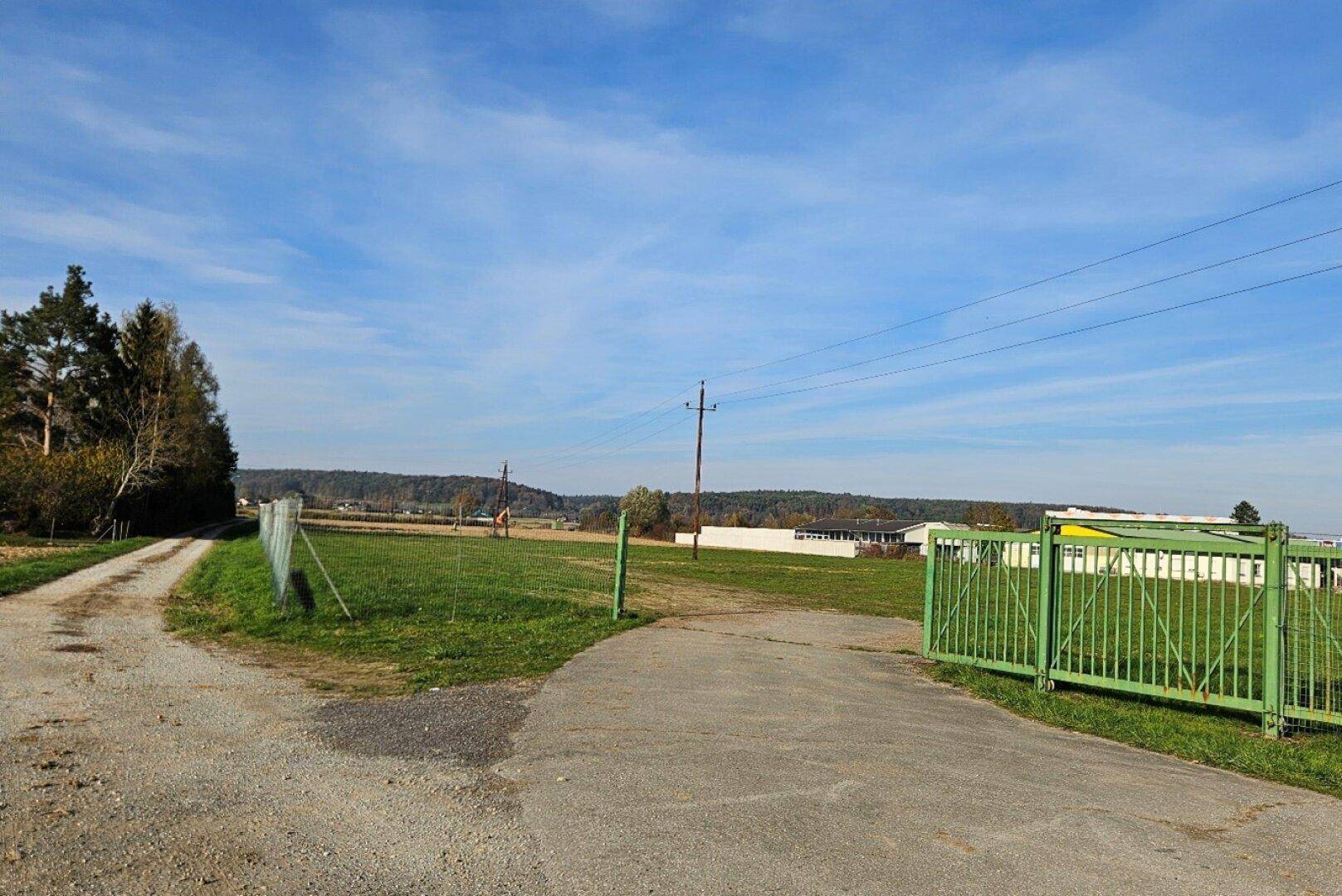 Feldweg führt durch eine grüne Landschaft mit einem Tor, Stromleitungen und Bäumen im Hintergrund.