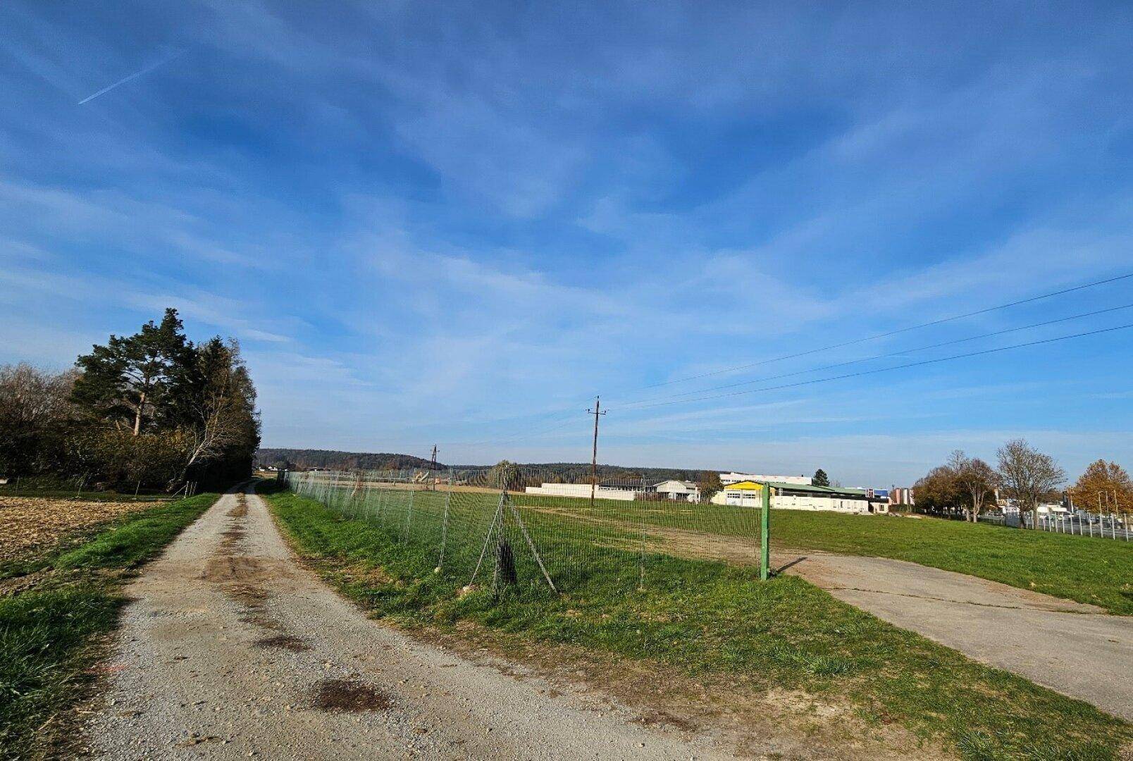 Feldweg verläuft entlang einer eingezäunten Wiese mit Bäumen und Gebäuden in der Ferne unter blauem Himmel.