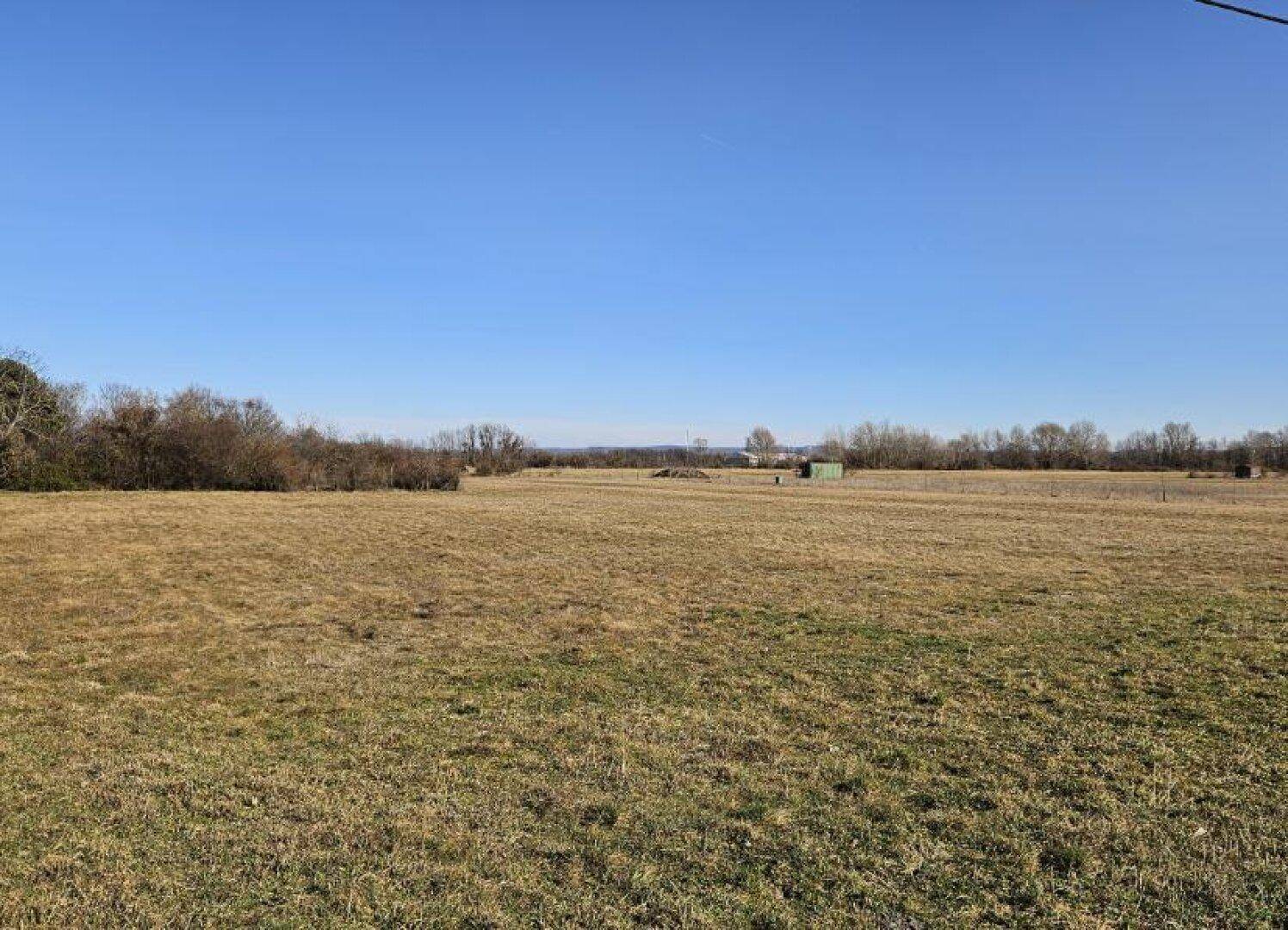 Ausgedehntes, trockenes Feld mit Baumreihen am Horizont unter einem weiten, blauen Himmel.