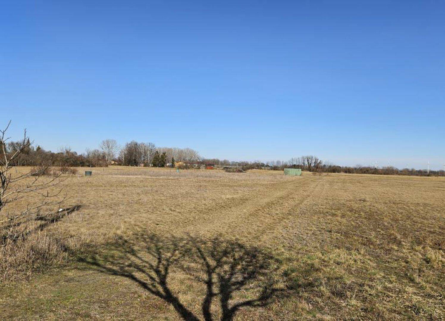 Weites Feld mit trockener Vegetation und Baumschatten im Vordergrund unter strahlend blauem Himmel.