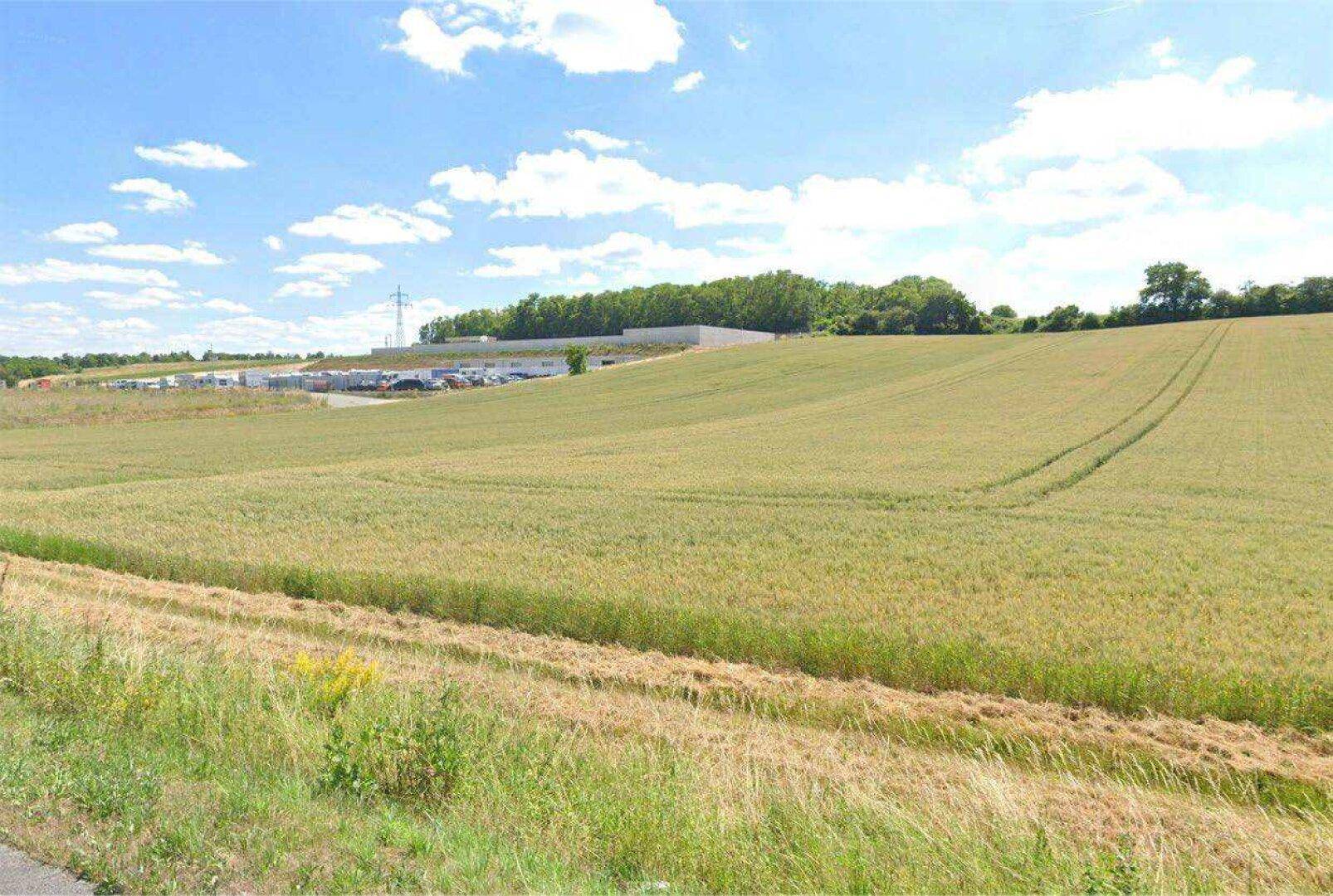 Grünes Feld im Vordergrund mit Gewerbegebäuden in der Ferne unter einem strahlend blauen Himmel.