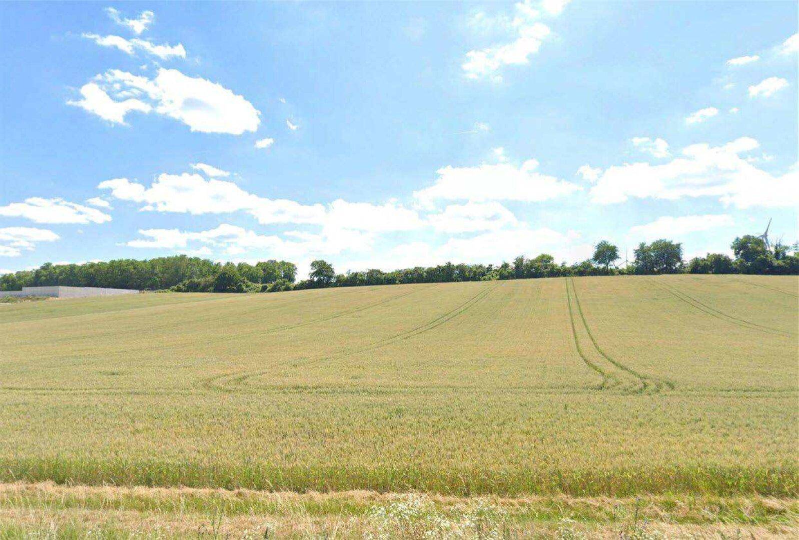 Weitläufiges Feld mit Spuren von Fahrzeugen und Gewerbebauten am Horizont unter blauem Himmel.