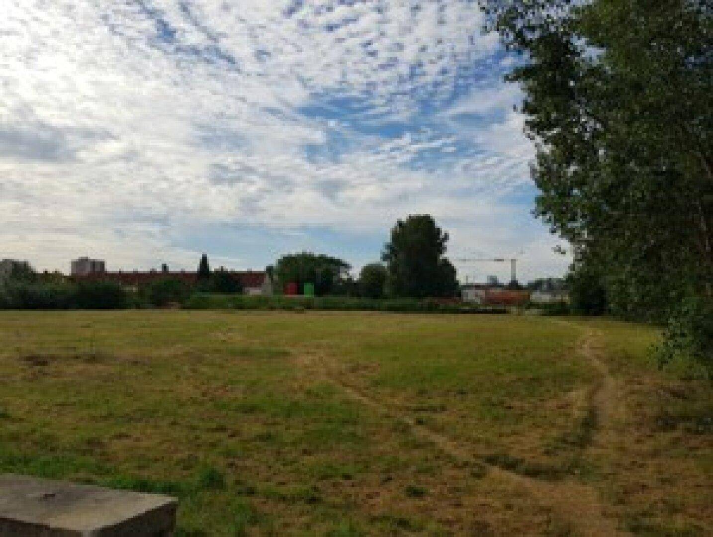 Großes, offenes Feld mit Gras und Bäumen am Rand, im Hintergrund sind Gebäude unter bewölktem Himmel erkennbar.