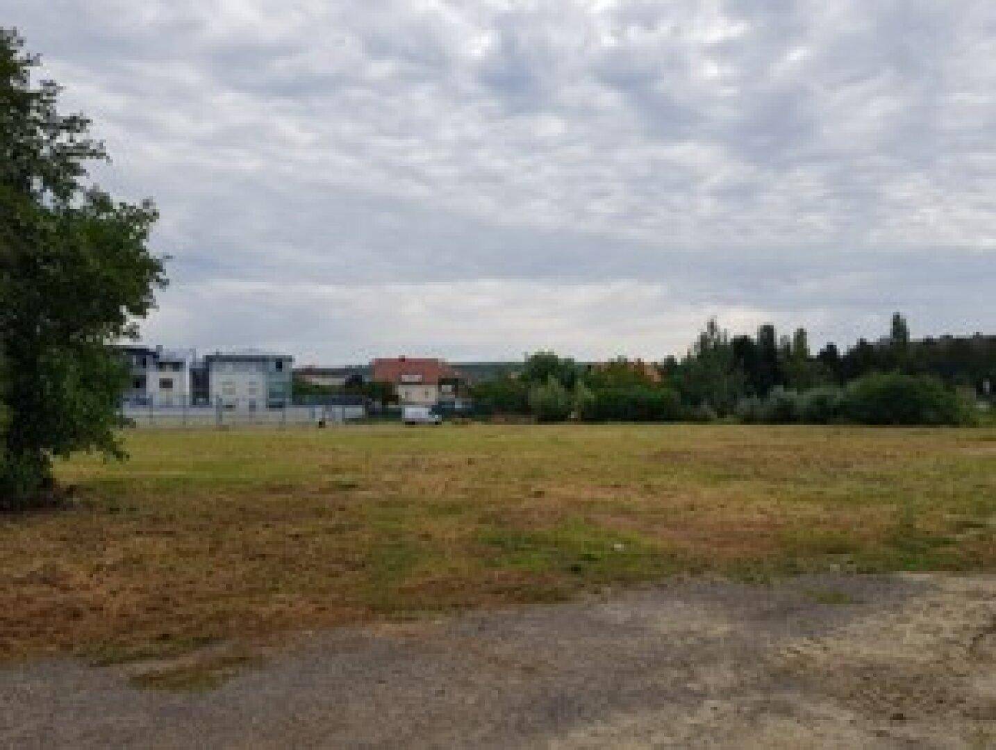 Weite Grasfläche unter bewölktem Himmel, mit Bäumen auf der linken Seite und Gebäuden in der Ferne.