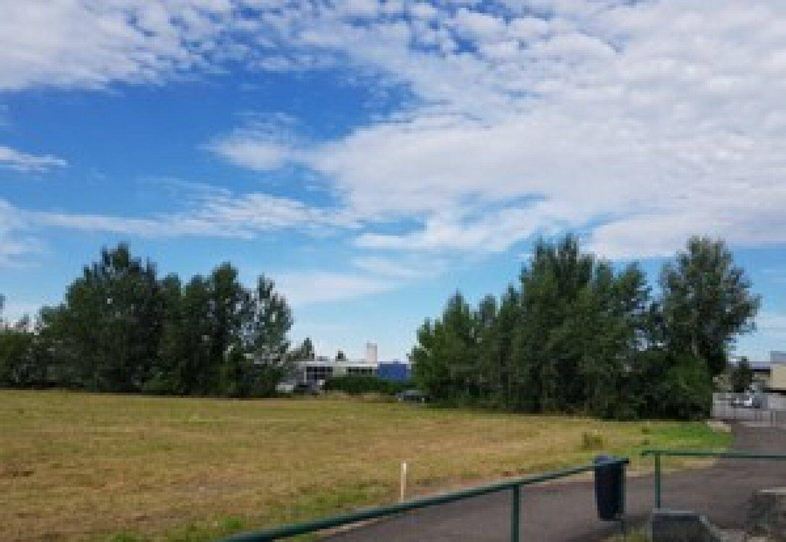 Offenes Feld mit Baumgruppen und einem blauen Himmel, im Vordergrund sind ein Geländer und ein Mülleimer zu sehen.