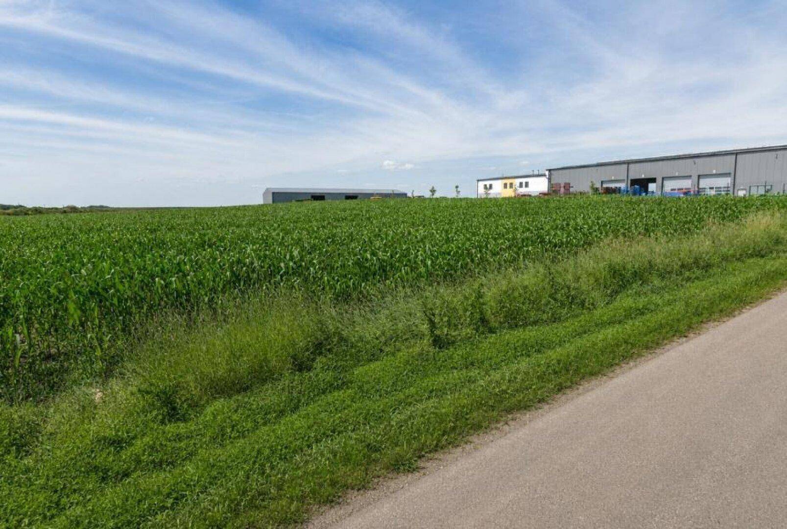 Weitläufiges grünes Feld mit Industriebauten in der Ferne unter einem blauen Himmel mit Wolken und einer Straße.