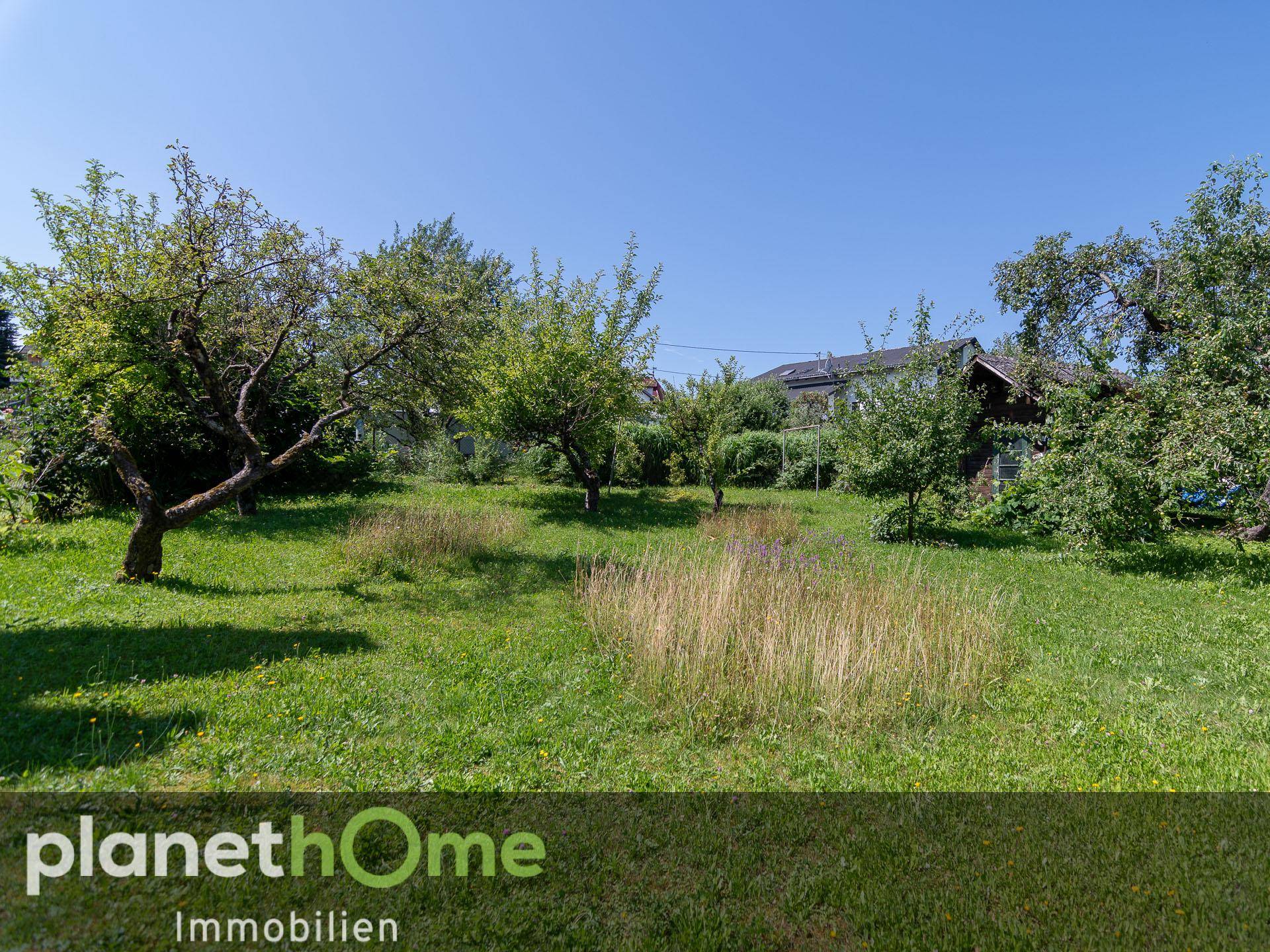 Blick in den Obstgarten