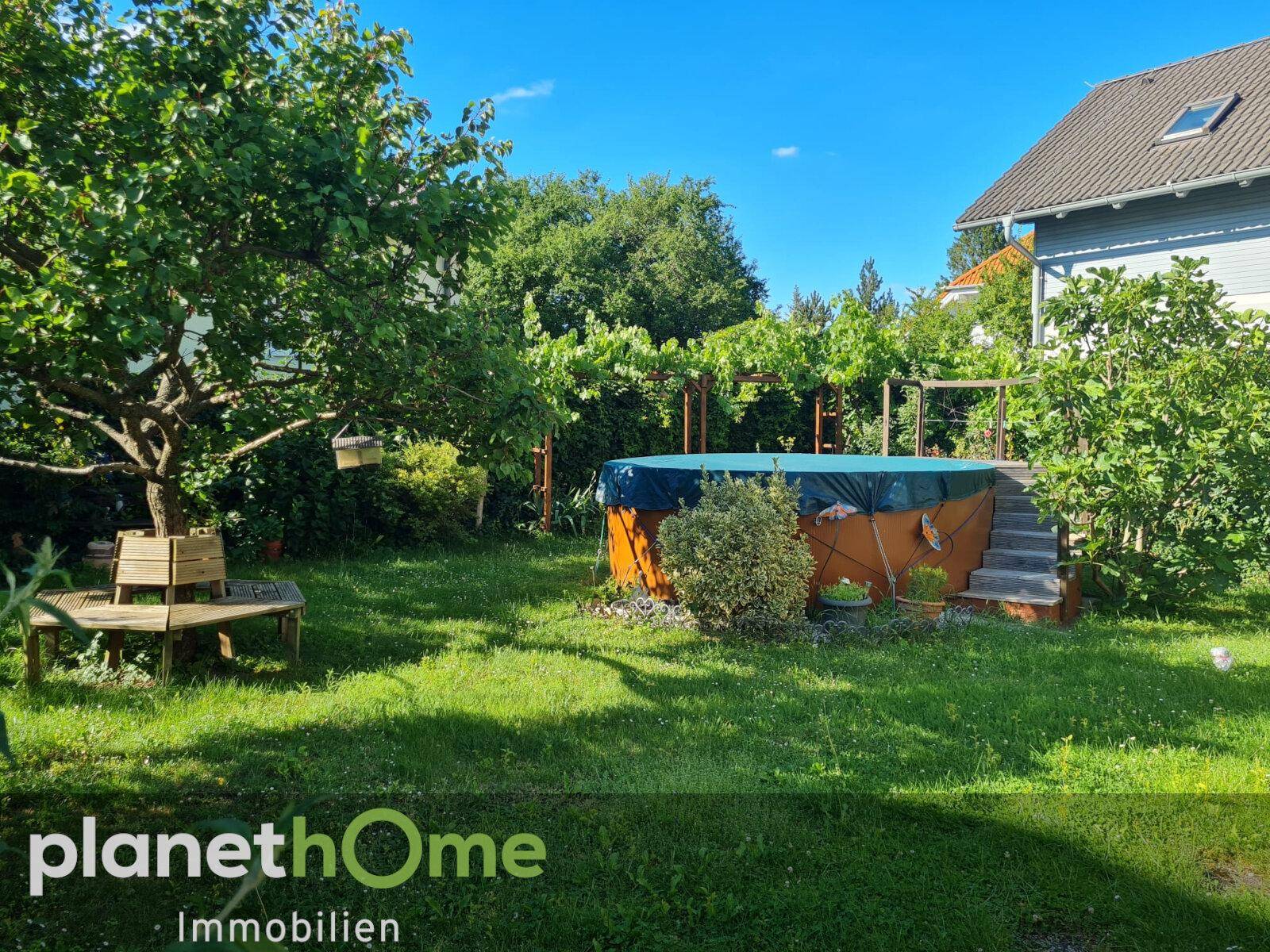 Blick in den Garten mit Pool