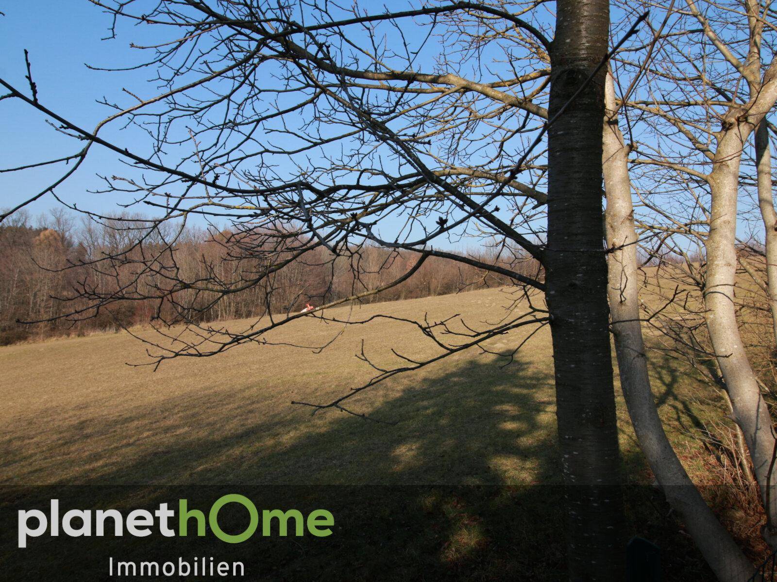 Blick von der Terrasse aus