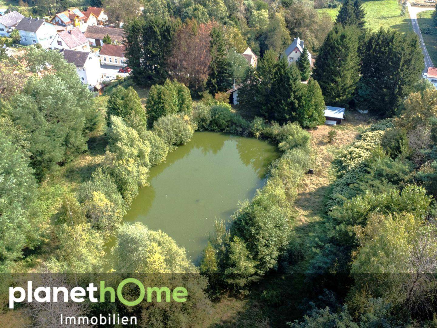 Panoramablick aus der Luft auf einen Teich inmitten einer bewaldeten Landschaft mit angrenzenden Häusern.