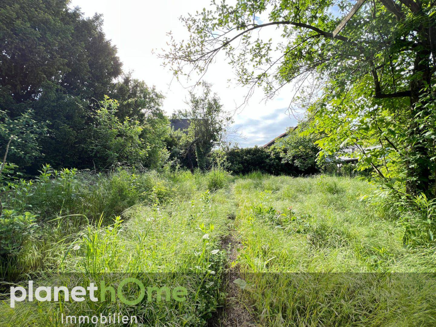 Gartenansicht