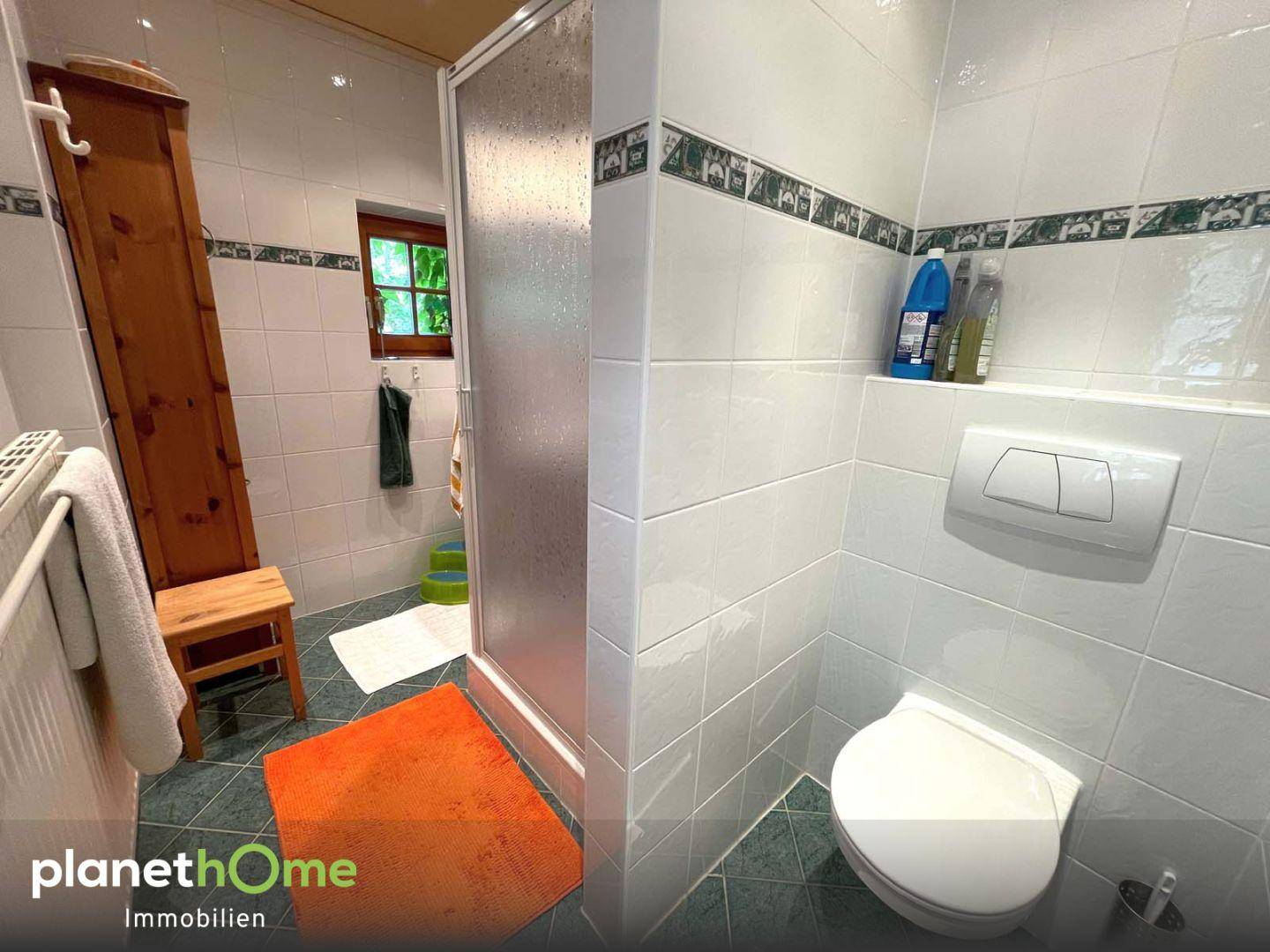 Diele und zweites Badezimmer_2