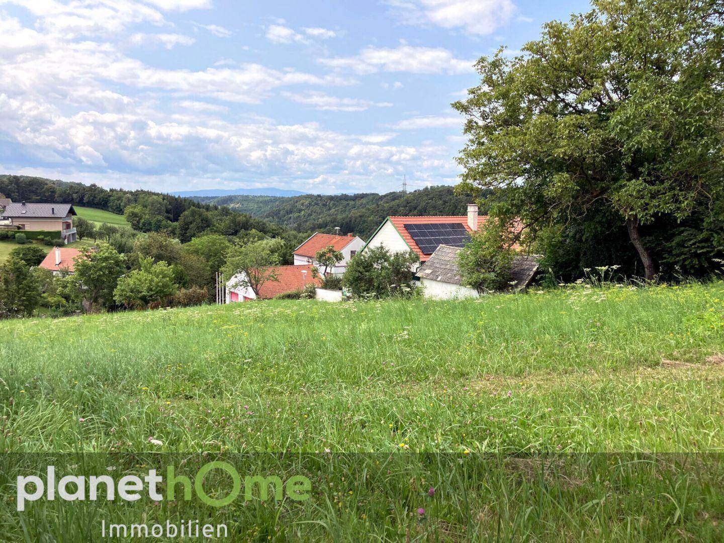 Weitläufige grüne Wiese mit Panoramablick über ein Tal und entfernte Häuser in der ländlichen Umgebung.