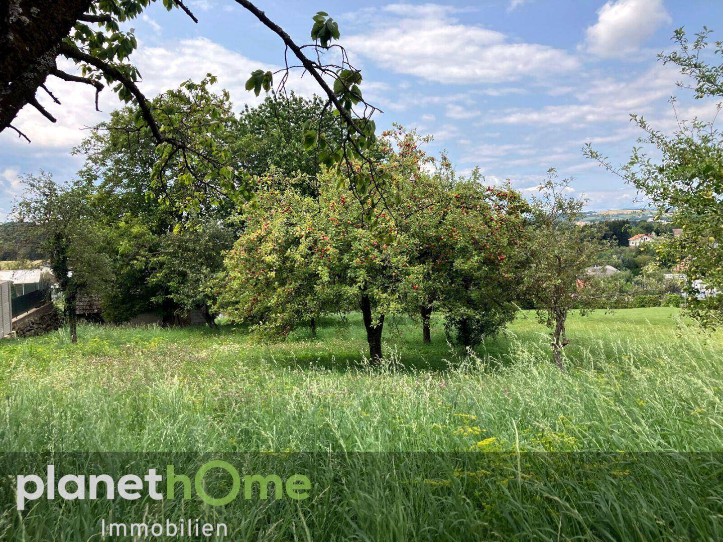 Sonnige Wiese mit mehreren Obstbäumen und einem Ausblick auf die ländliche Umgebung und entfernte Häuser.