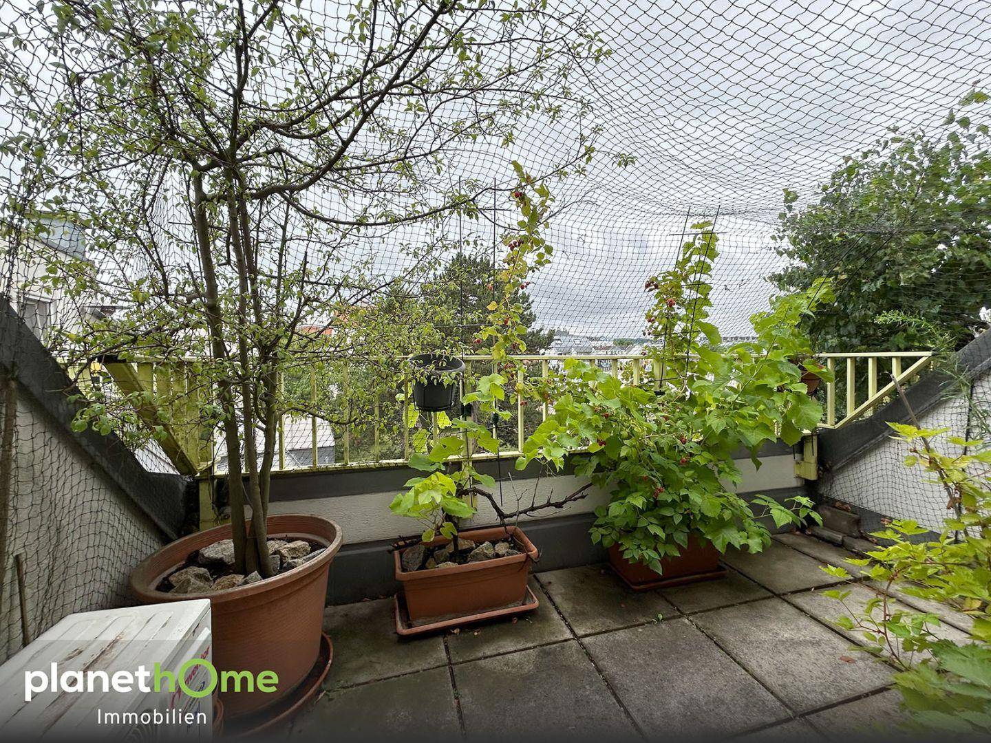 Terrasse OG