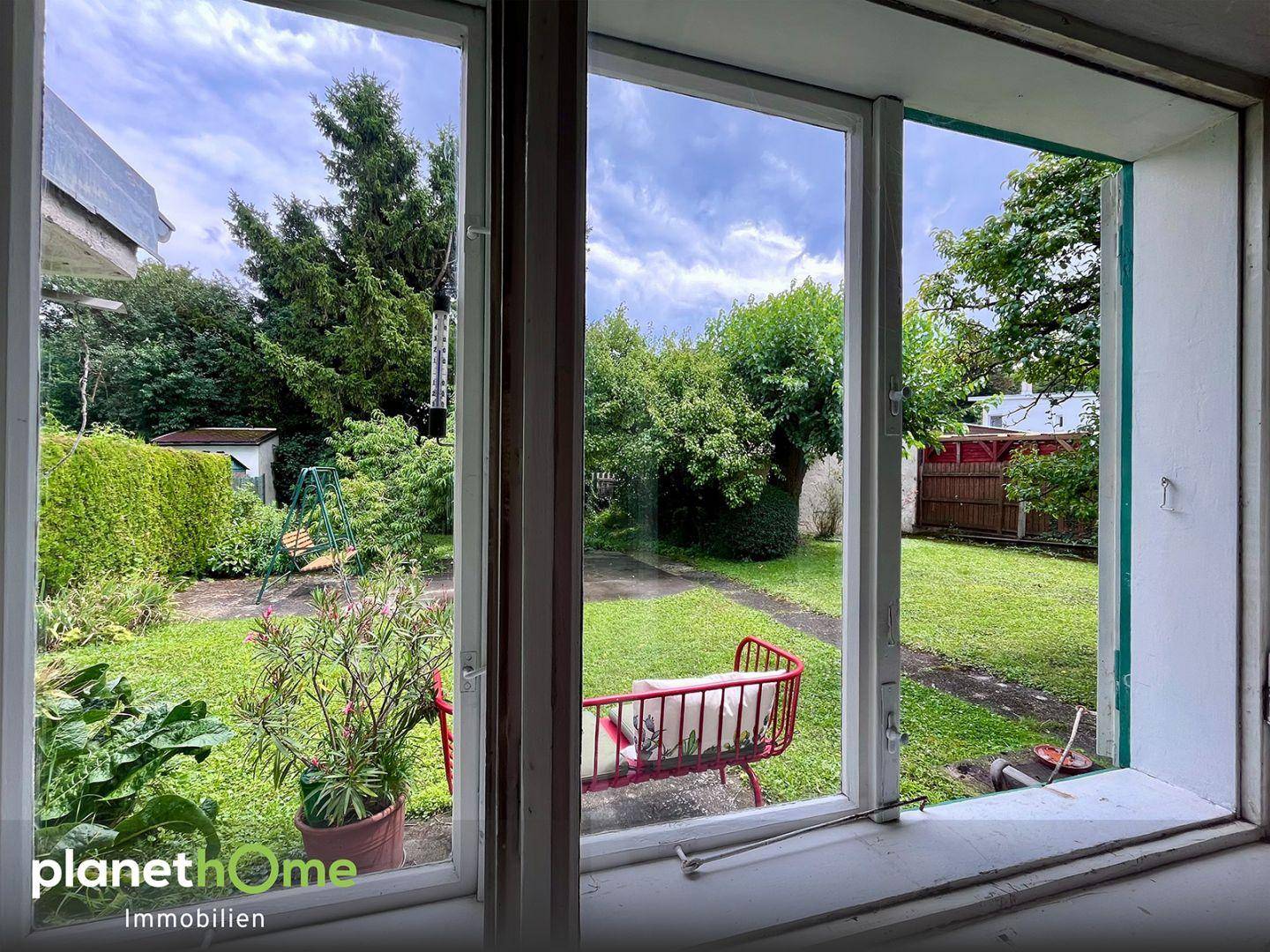 Blick in Garten