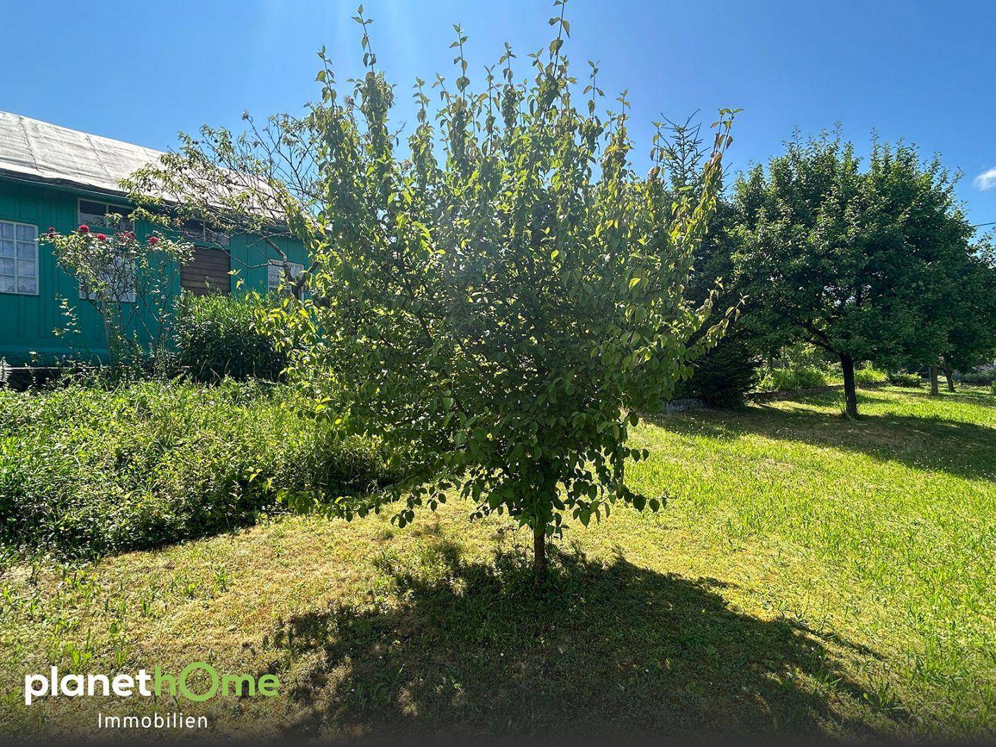 Ansicht Garten 3