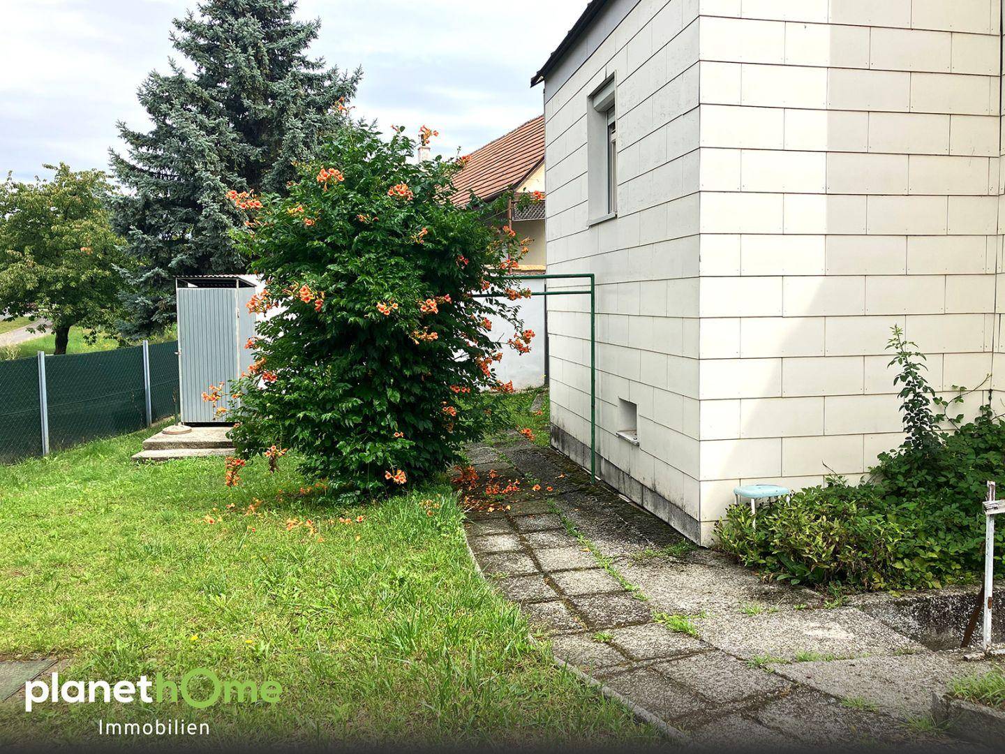 Gartenbereich mit Rasen, einem blühenden Busch und einem gepflasterten Weg.