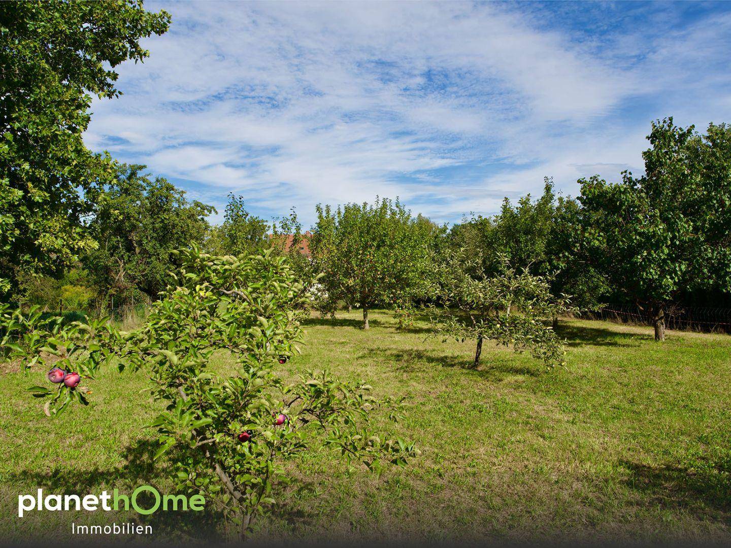 Garten mit Obstbaumbestand