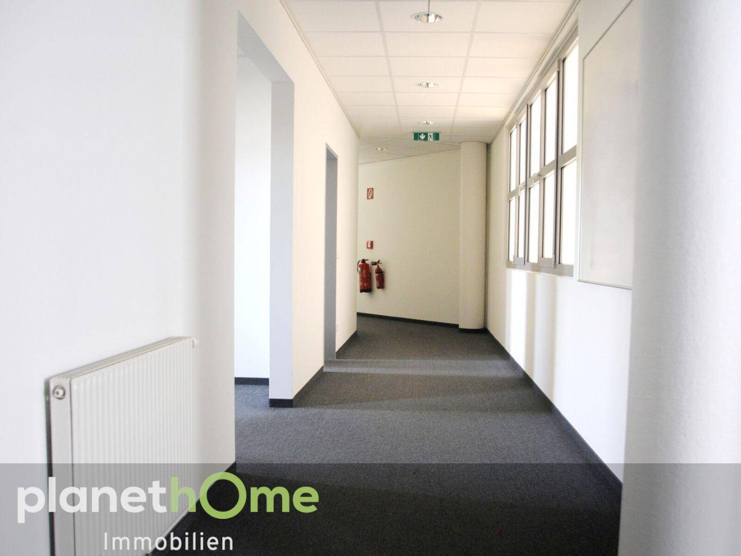 Langer, heller Flur mit Teppichboden und großen Fenstern, bietet viel Tageslicht.