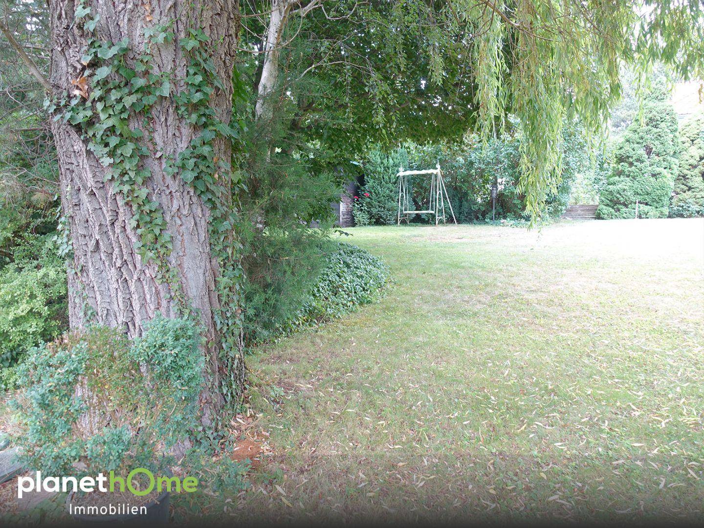 Naturbelassener Gartenbereich mit altem Baumstamm, Rasen und einer Schaukel im hinteren Teil des Grundstücks.